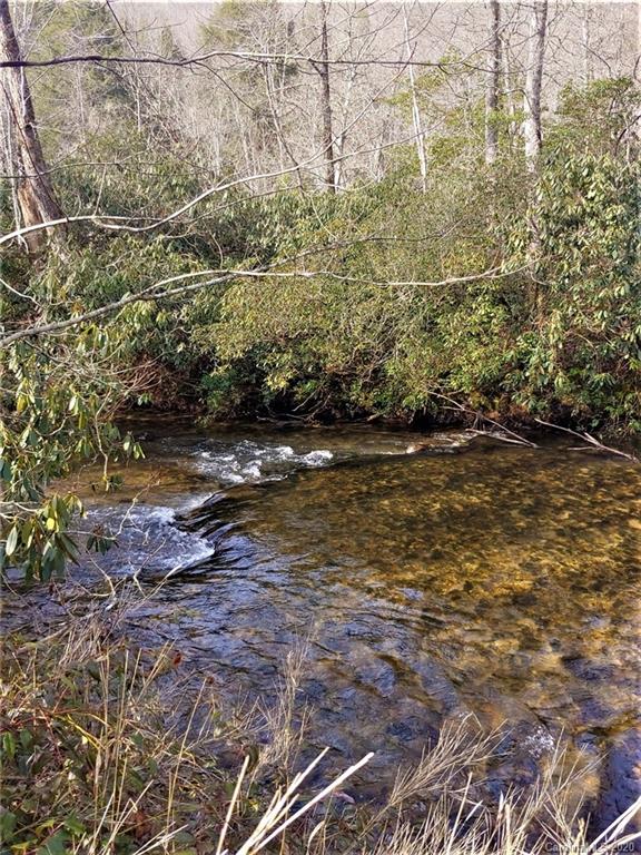 Tbd Silversteen Road Marietta, SC 29661 - Photo 3 of 6 Gallery Image 3