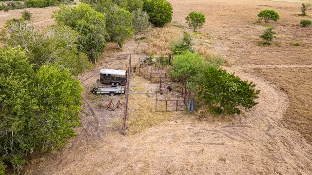 a view of a yard with plants and large trees