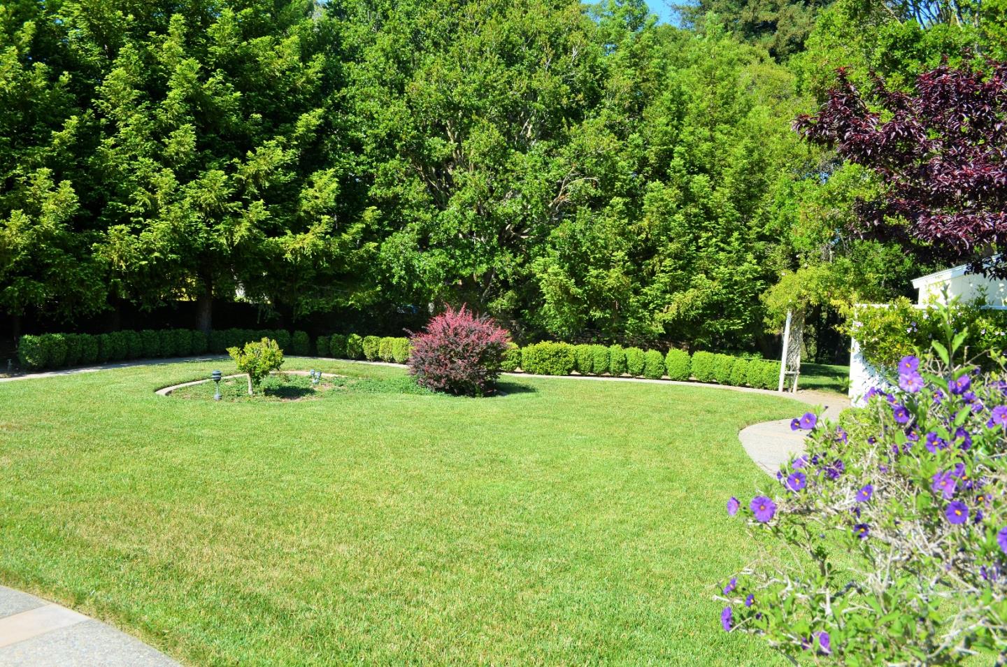 385 Tolak Road Aptos, CA 95003 - Photo 31 of 82 a backyard of a house with lots of green space and garden view