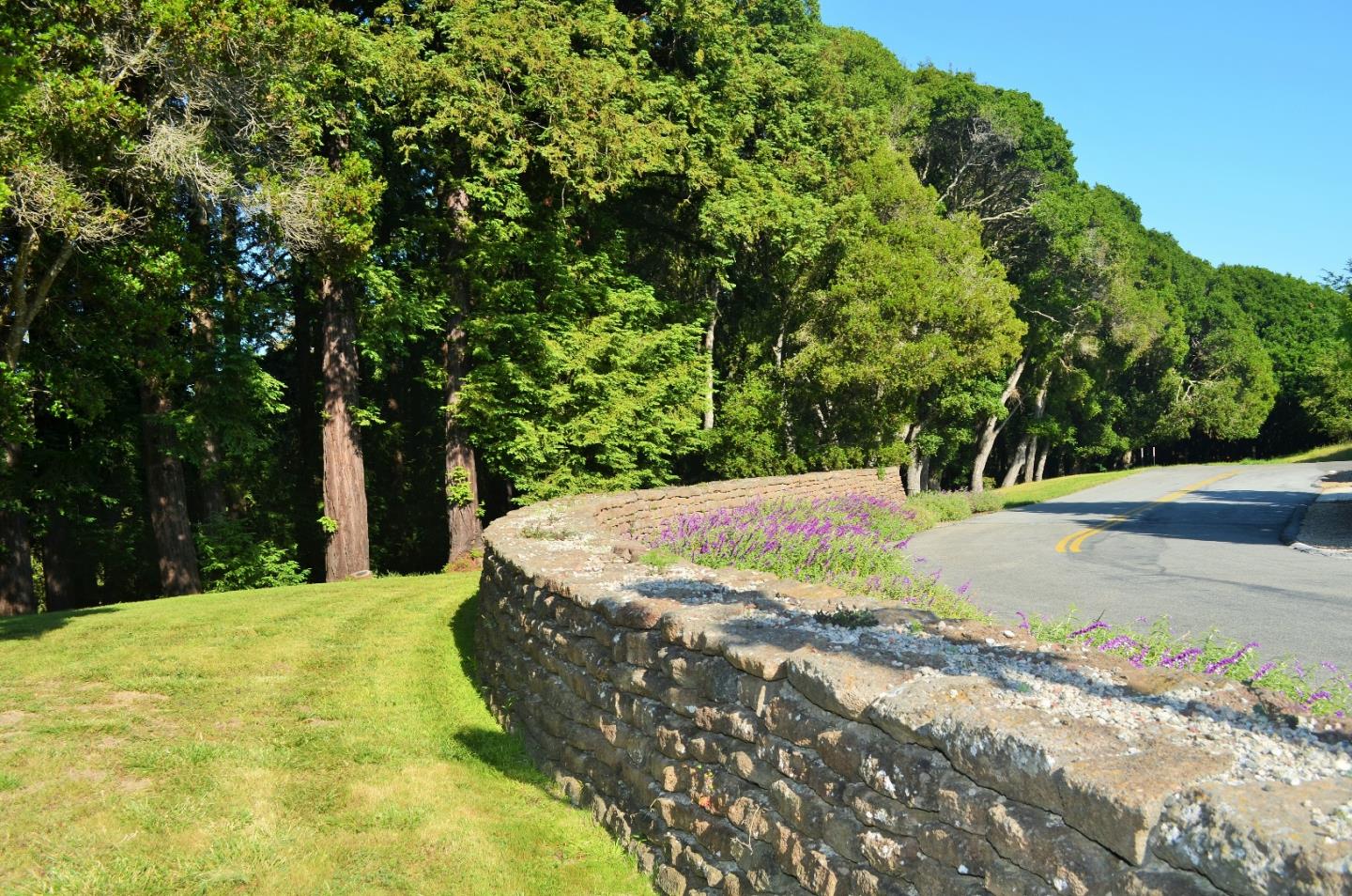385 Tolak Road Aptos, CA 95003 - Photo 70 of 82 a view of a yard with large trees