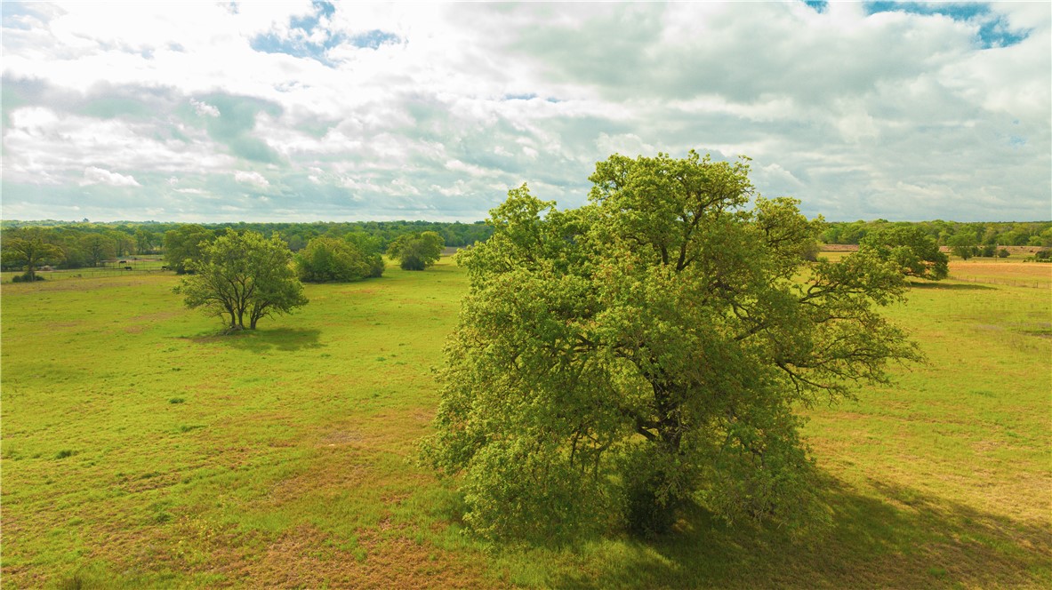 9999 Tabor Road Bryan, TX 77808 - Photo 3 of 10