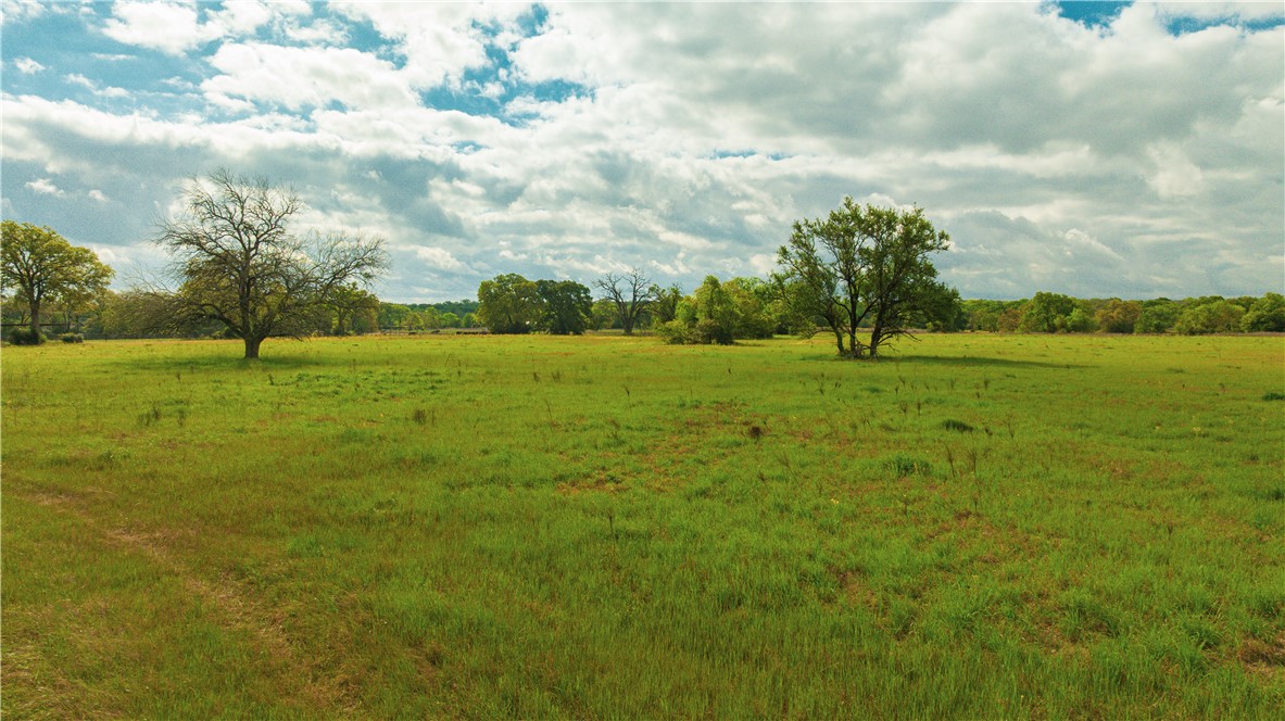 9999 Tabor Road Bryan, TX 77808 - Photo 9 of 10