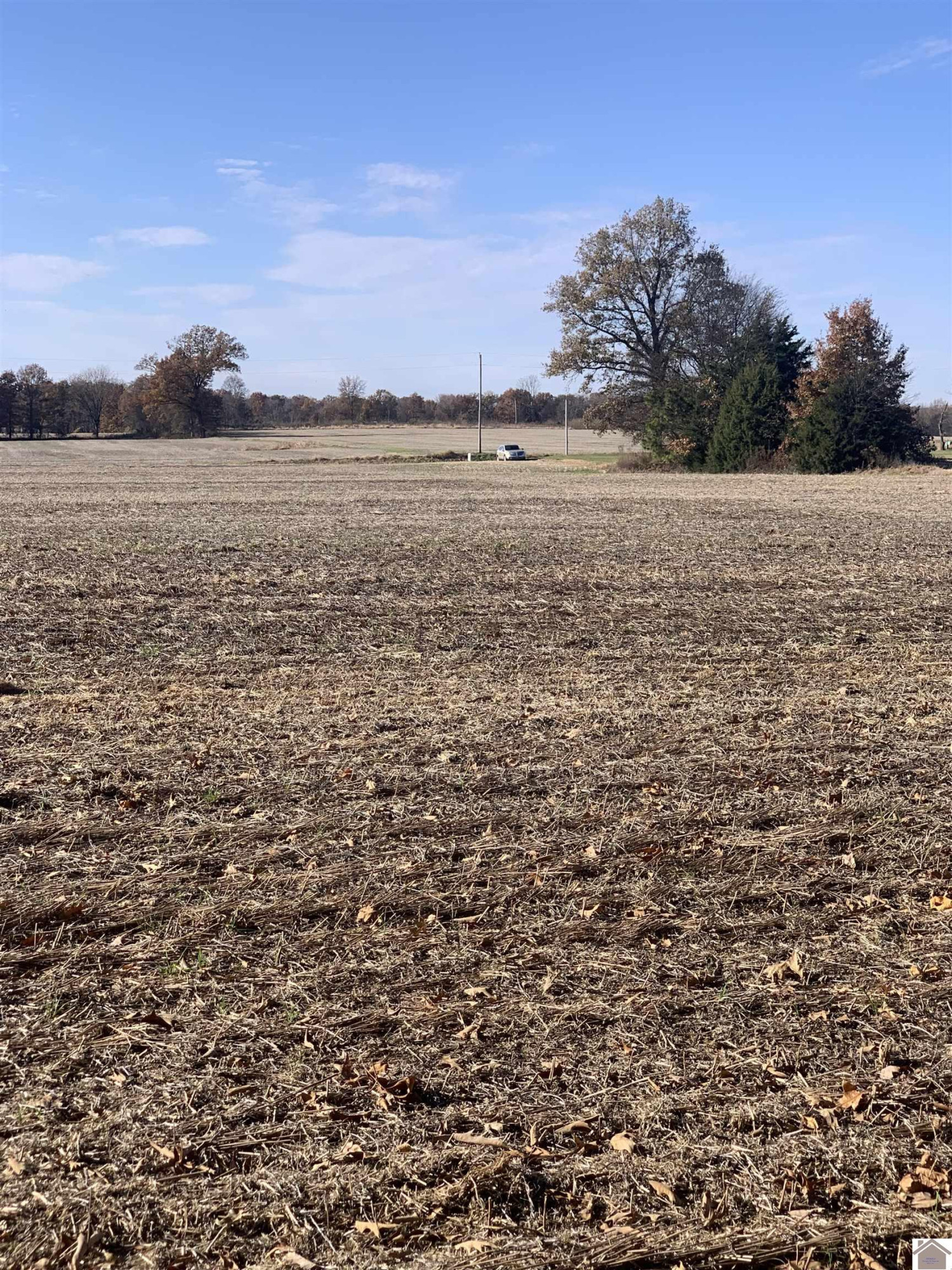 0 Crawford Lake Road Kevil, KY 42053 - Photo 10 of 10 Photo 10