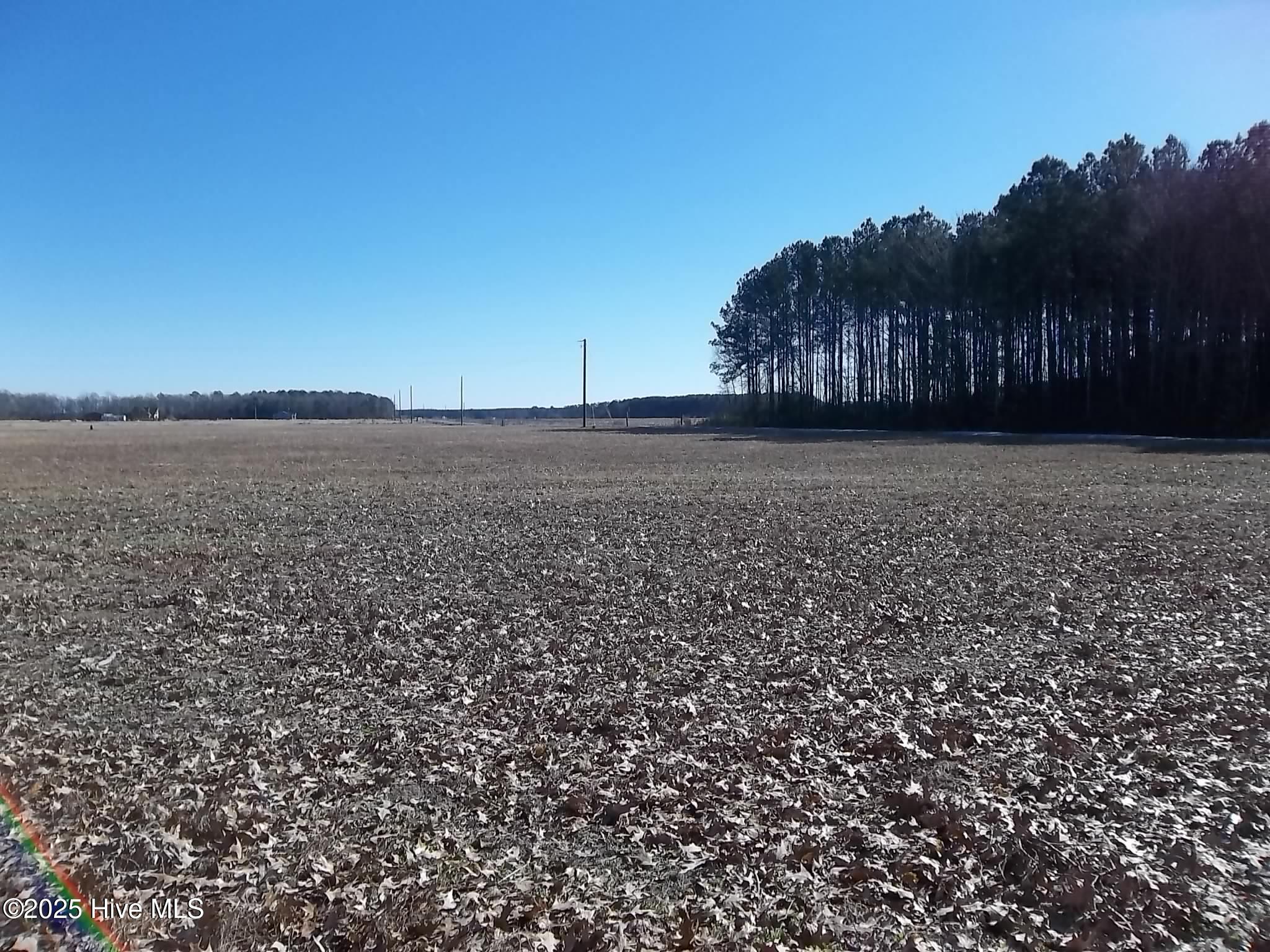 184 Dailey Road Camden, NC 27921 - Photo 3 of 15 100_2936