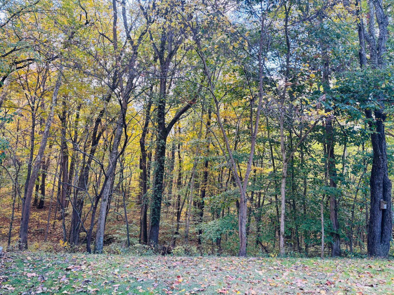 111 West Everton Road Connersville, IN 47331 - Photo 48 of 76