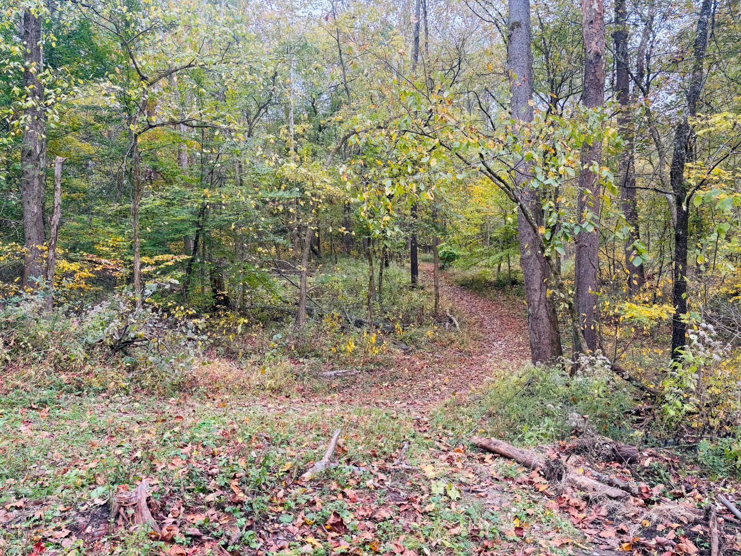 111 West Everton Road Connersville, IN 47331 - Photo 55 of 76