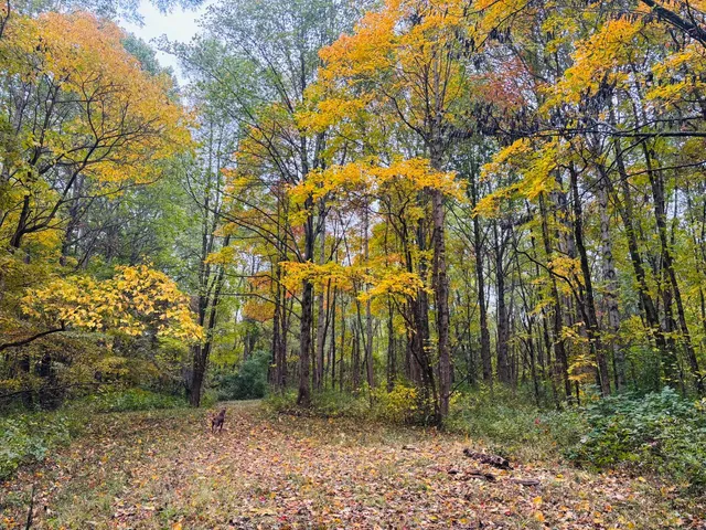 $545,000 | 111 West Everton Road, Connersville, IN 47331