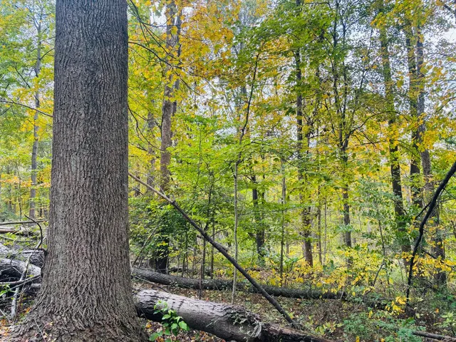 $545,000 | 111 West Everton Road, Connersville, IN 47331