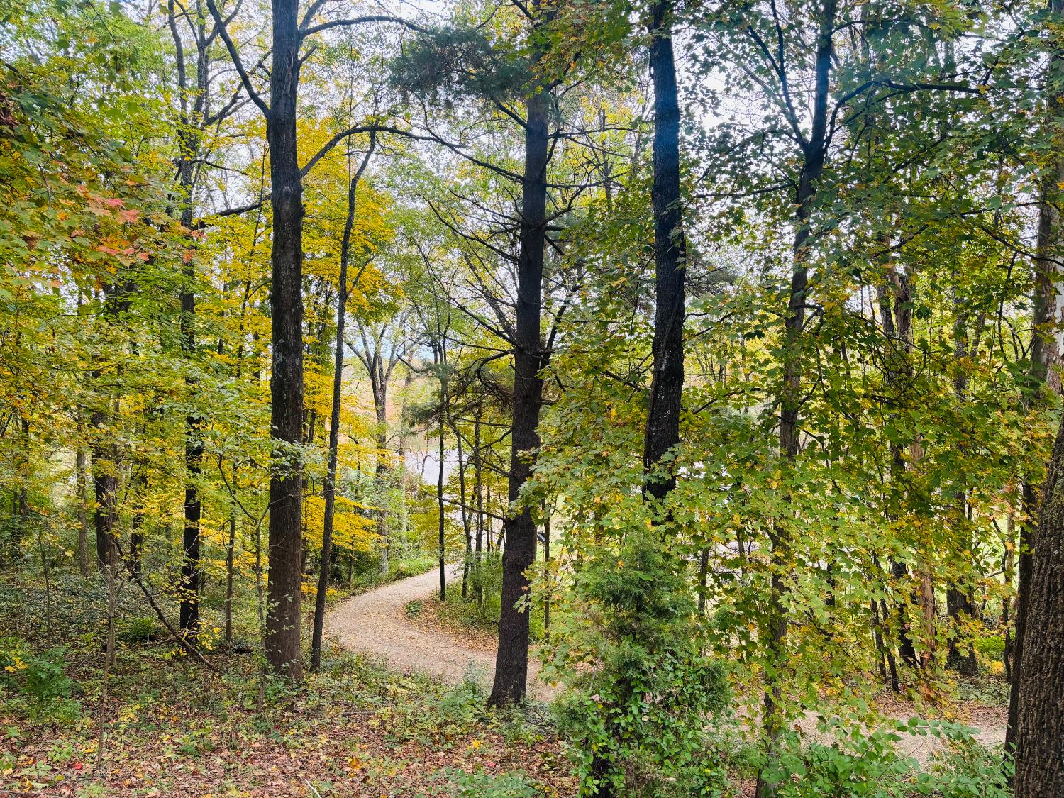 111 West Everton Road Connersville, IN 47331 - Photo 10 of 76