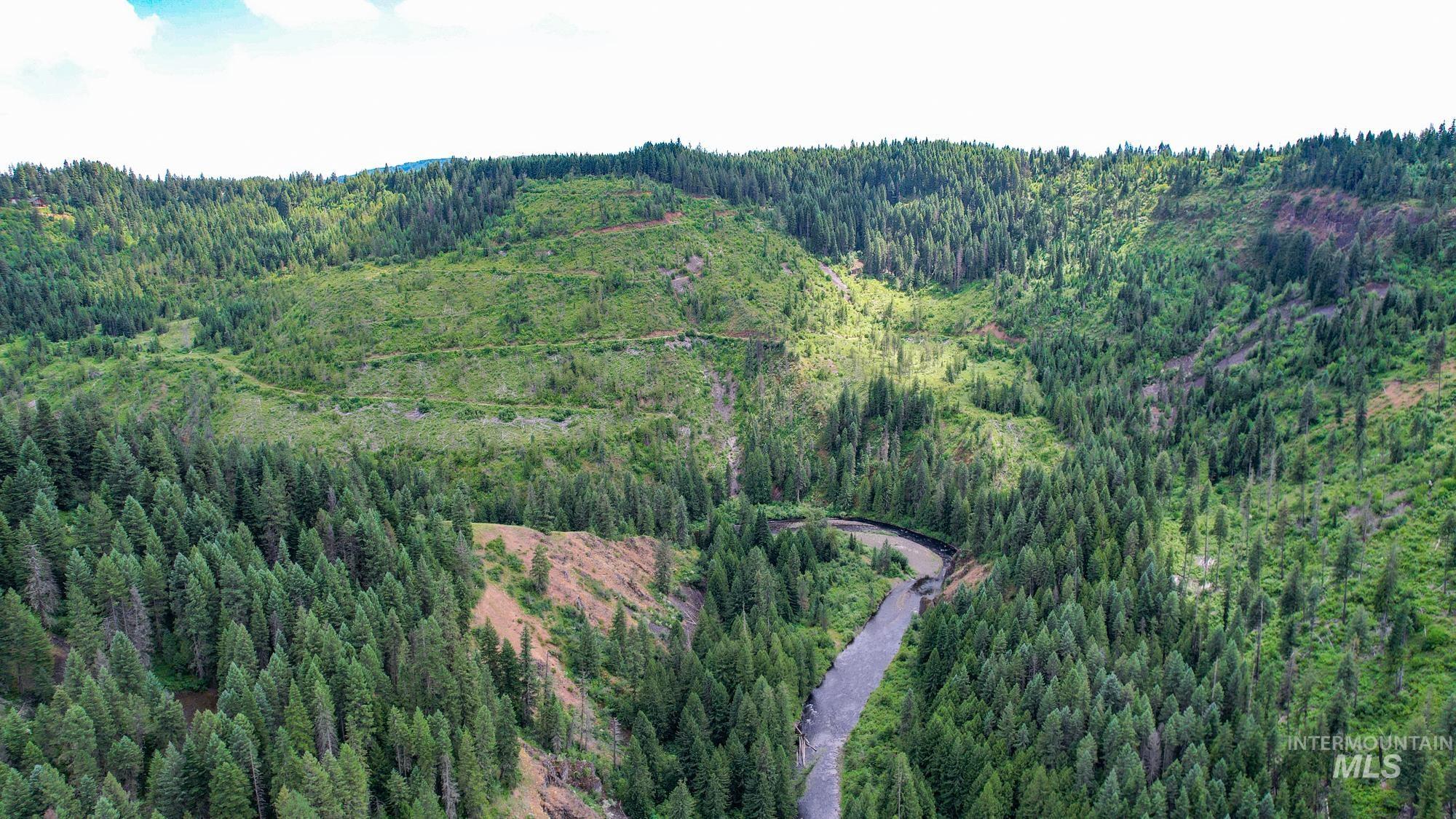 Tbd Glenwood Road Kamiah, ID 83536 - Photo 12 of 21