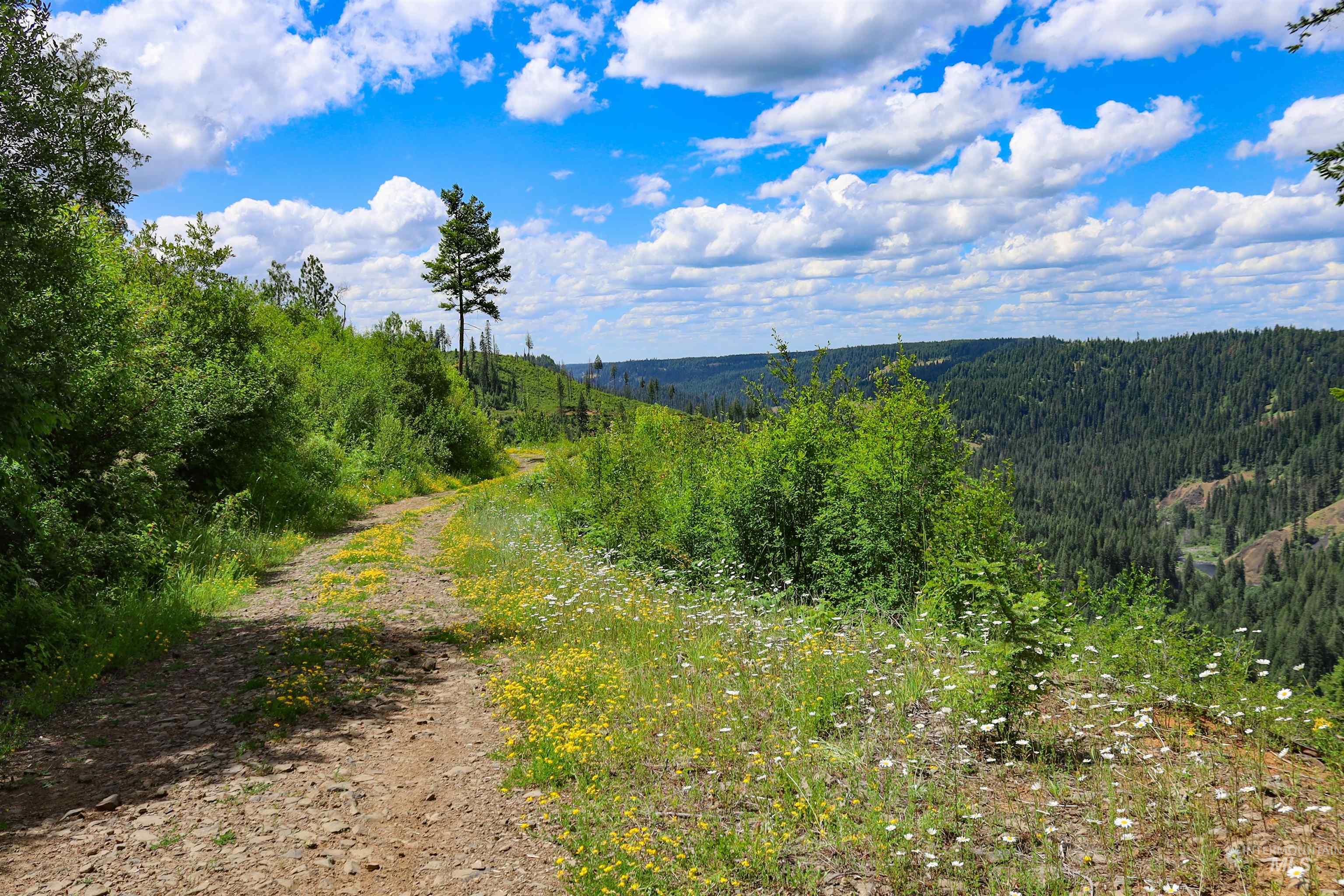 Tbd Glenwood Road Kamiah, ID 83536 - Photo 13 of 21