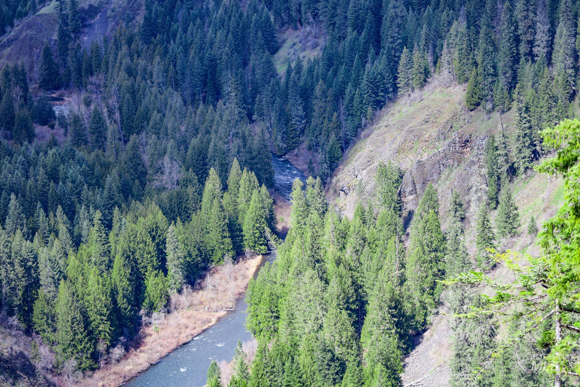 Tbd Glenwood Road Kamiah, ID 83536 - Photo 16 of 21