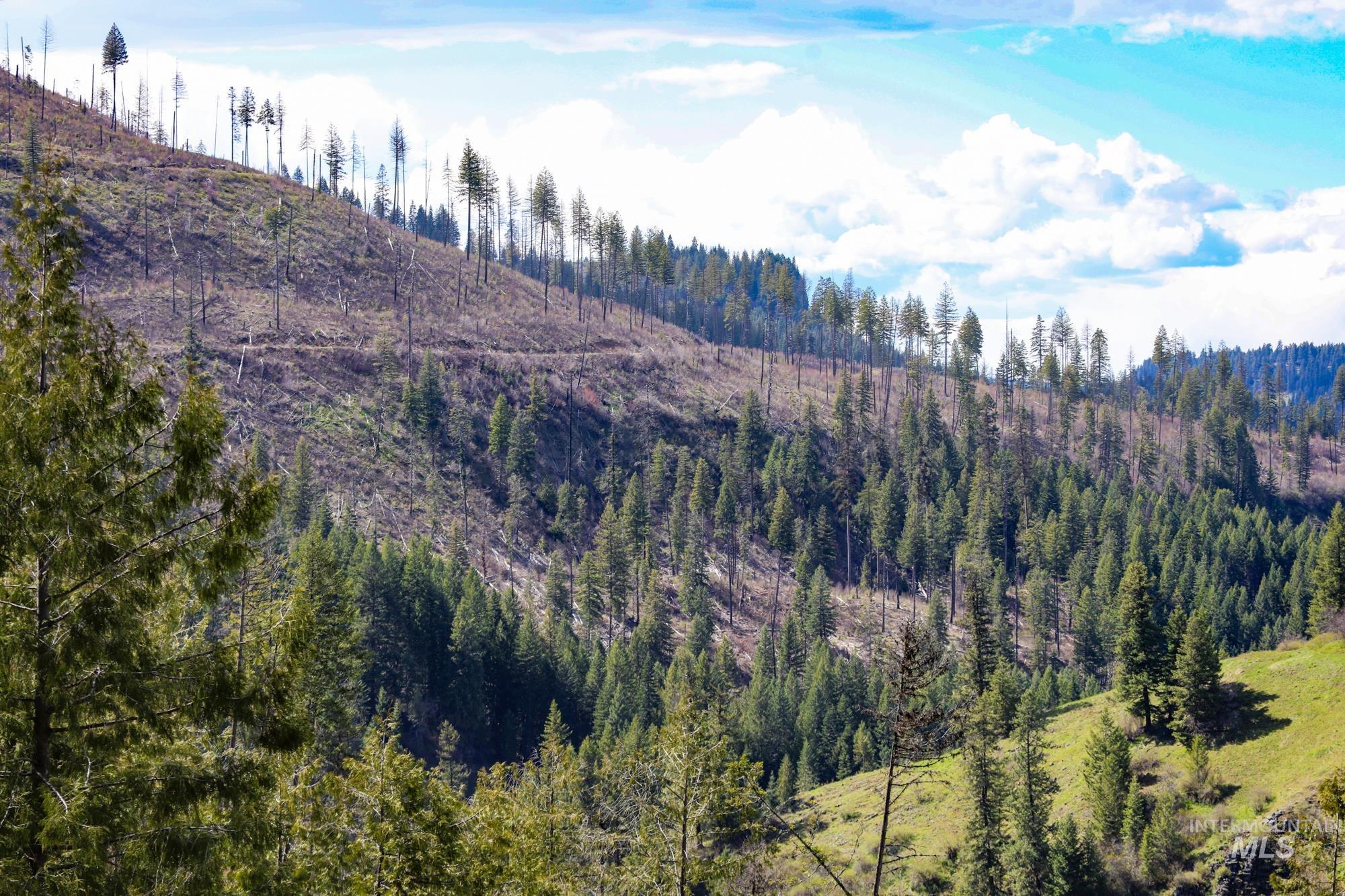 Tbd Glenwood Road Kamiah, ID 83536 - Photo 18 of 21