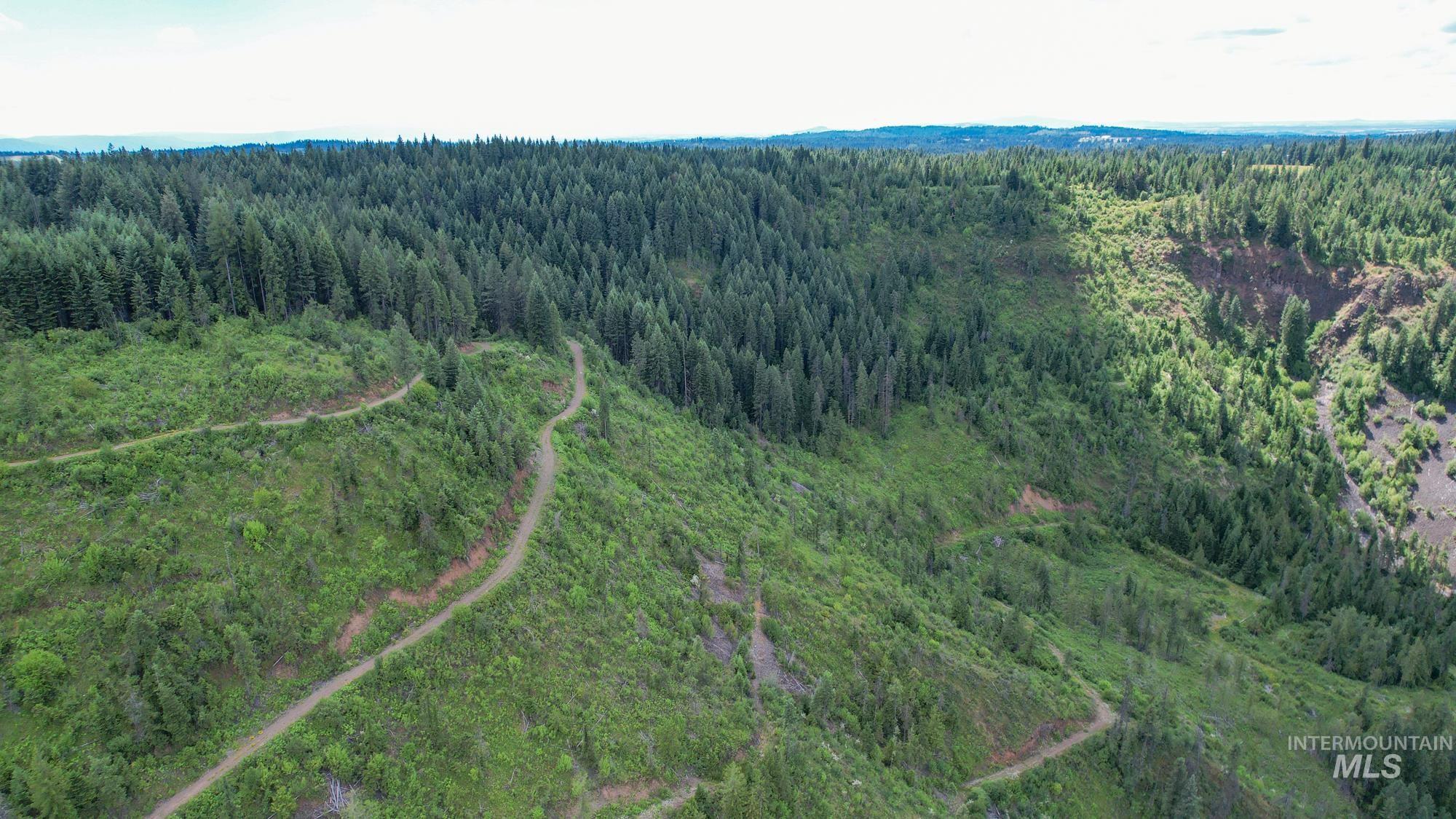 Tbd Glenwood Road Kamiah, ID 83536 - Photo 4 of 21