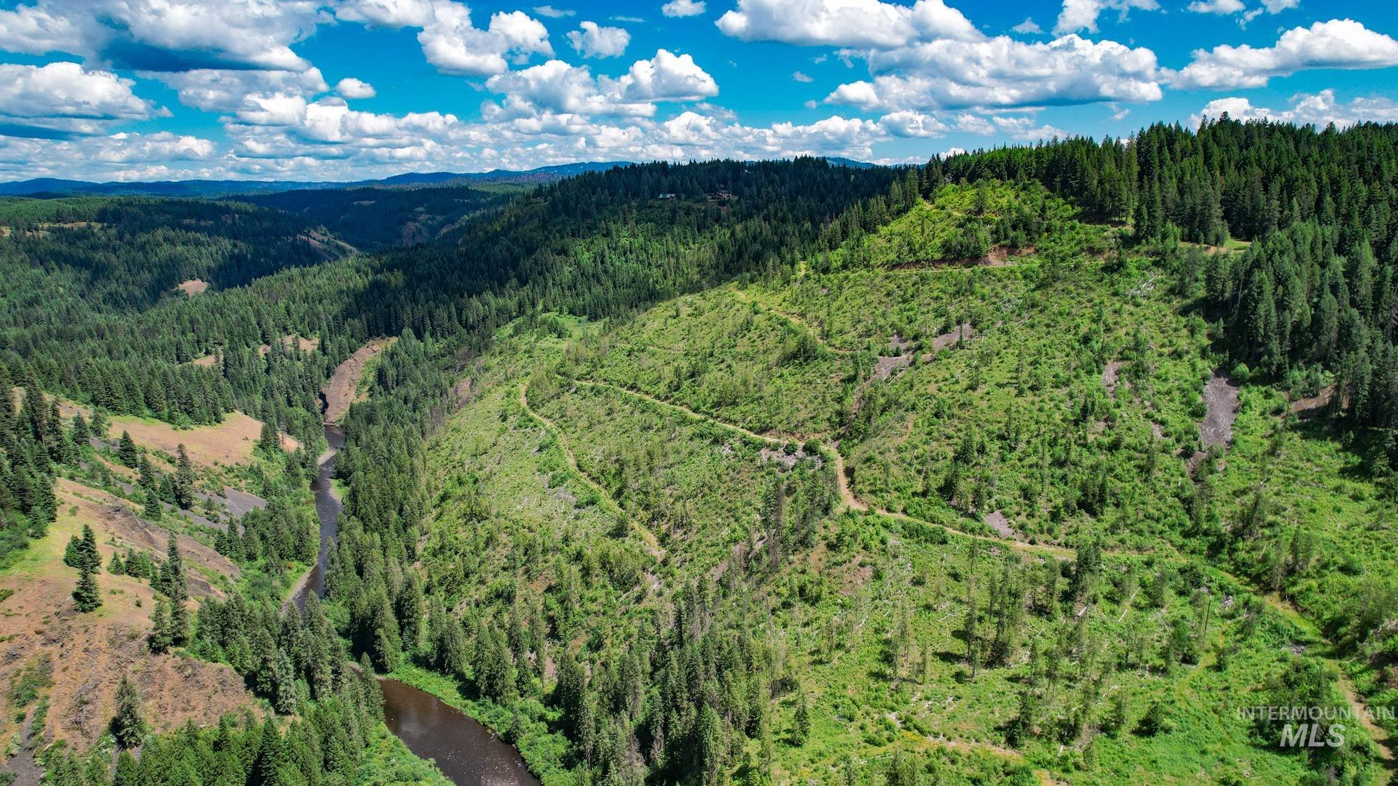 Tbd Glenwood Road Kamiah, ID 83536 - Photo 5 of 21