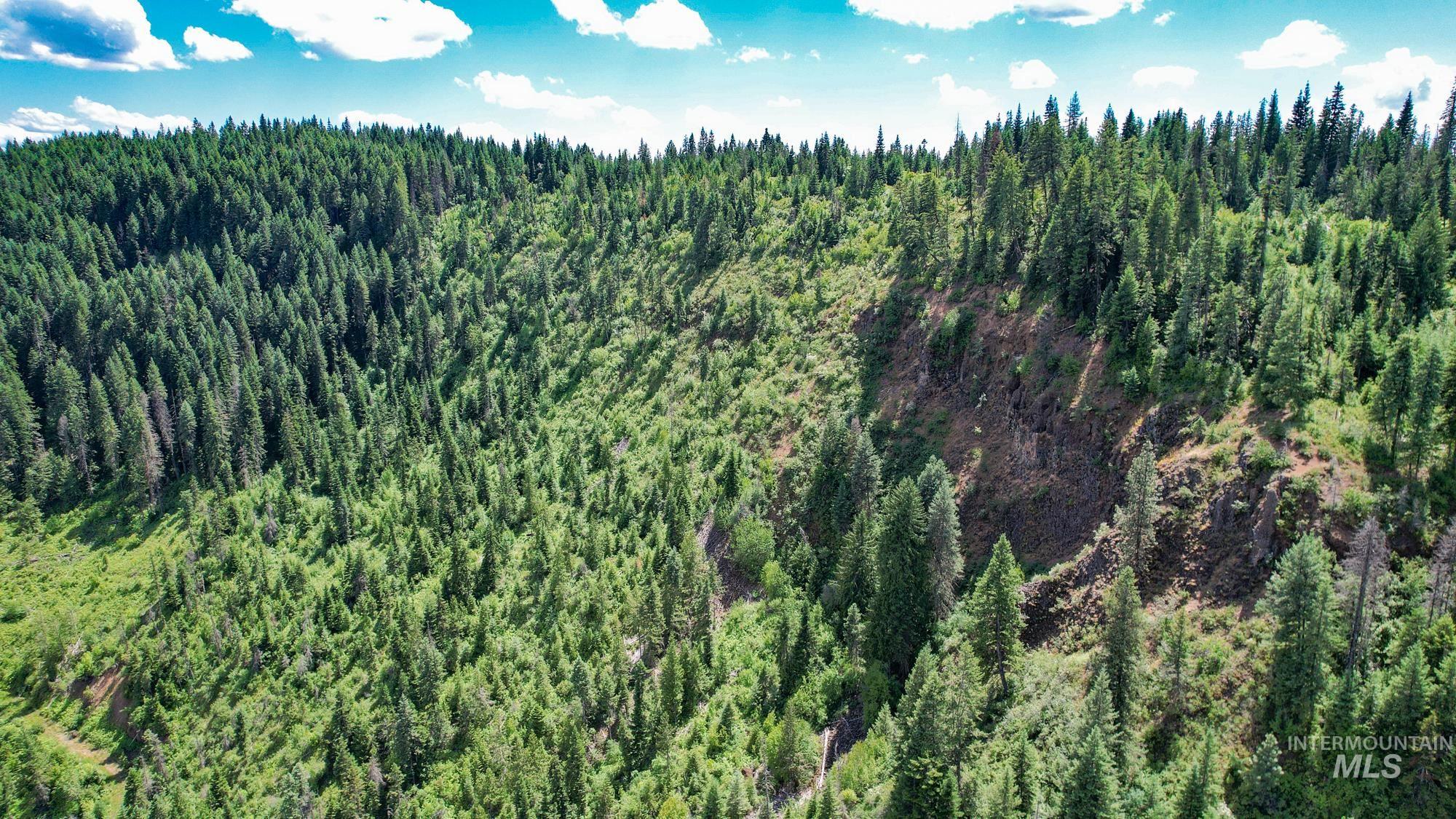 Tbd Glenwood Road Kamiah, ID 83536 - Photo 6 of 21