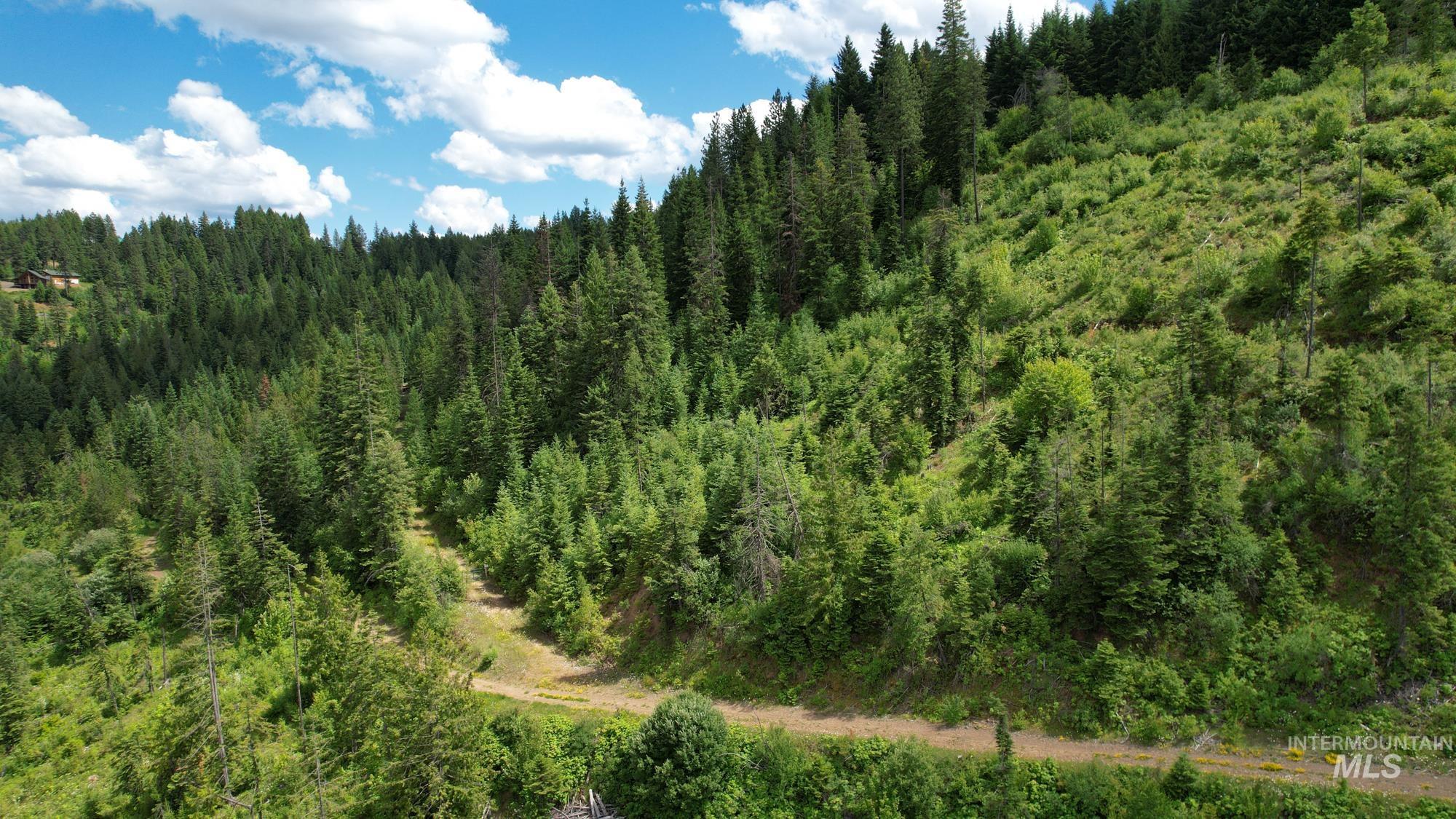 Tbd Glenwood Road Kamiah, ID 83536 - Photo 7 of 21