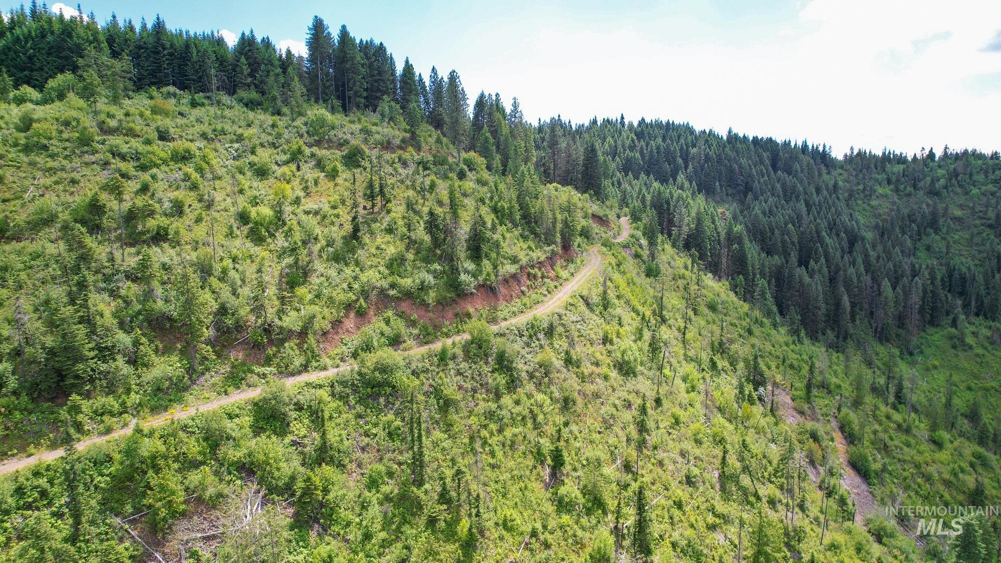 Tbd Glenwood Road Kamiah, ID 83536 - Photo 8 of 21