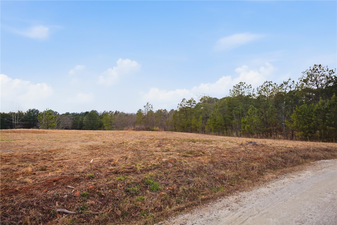 0 Grogan Road Westminster, SC 29693 - Photo 1 of 20