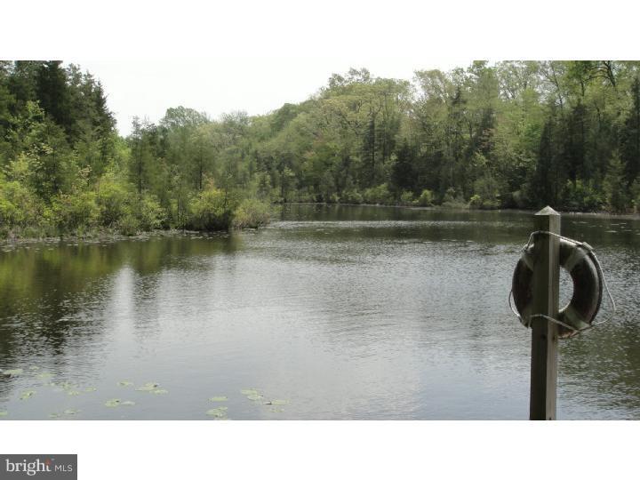 Lake / Pond