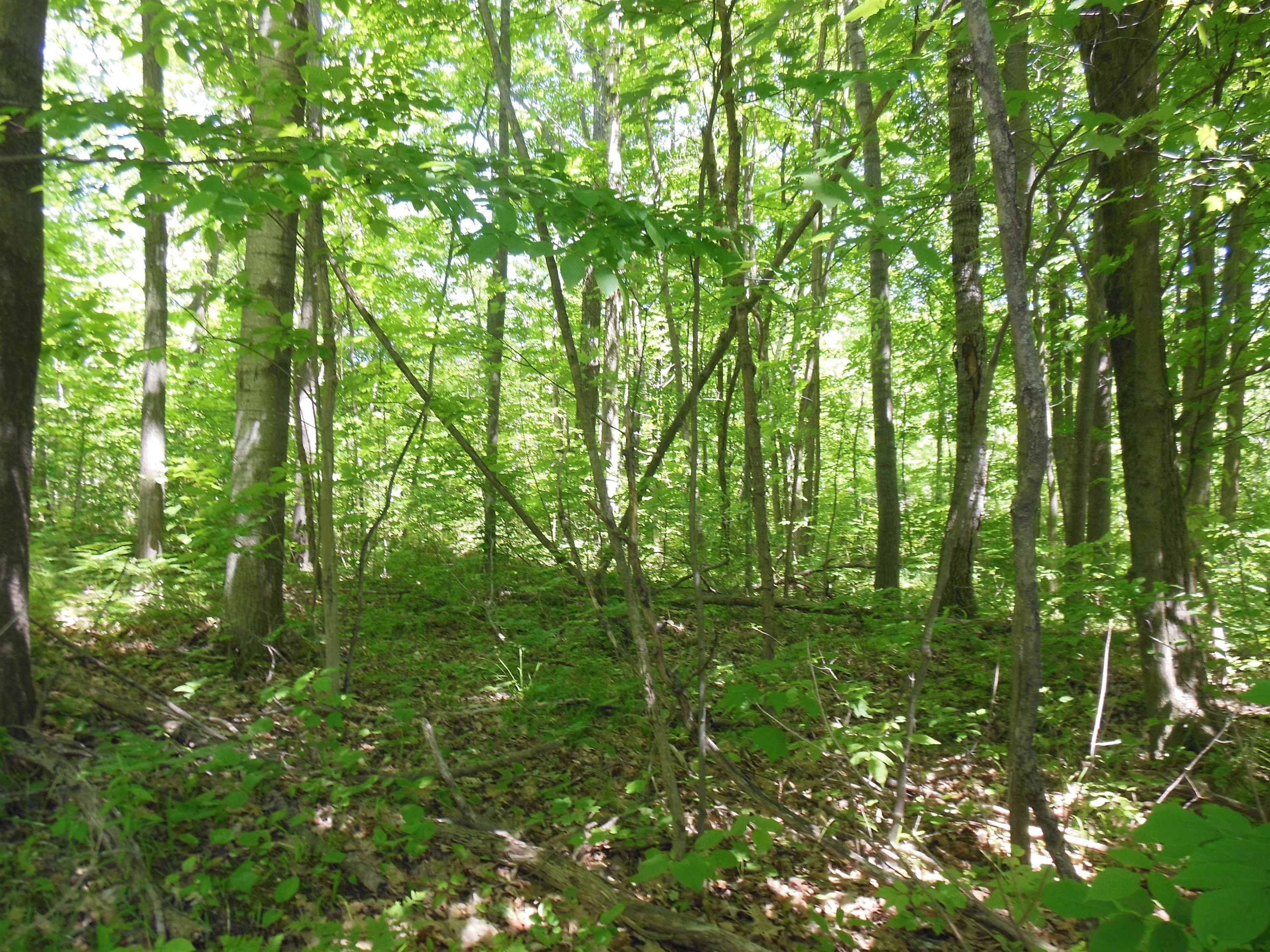 Lot 26 Rodgers Road Harrison, MI 48625 - Photo 5 of 7