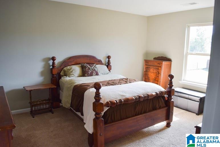 870 Braddock Road East Springville, AL 35146 - Photo 25 of 33