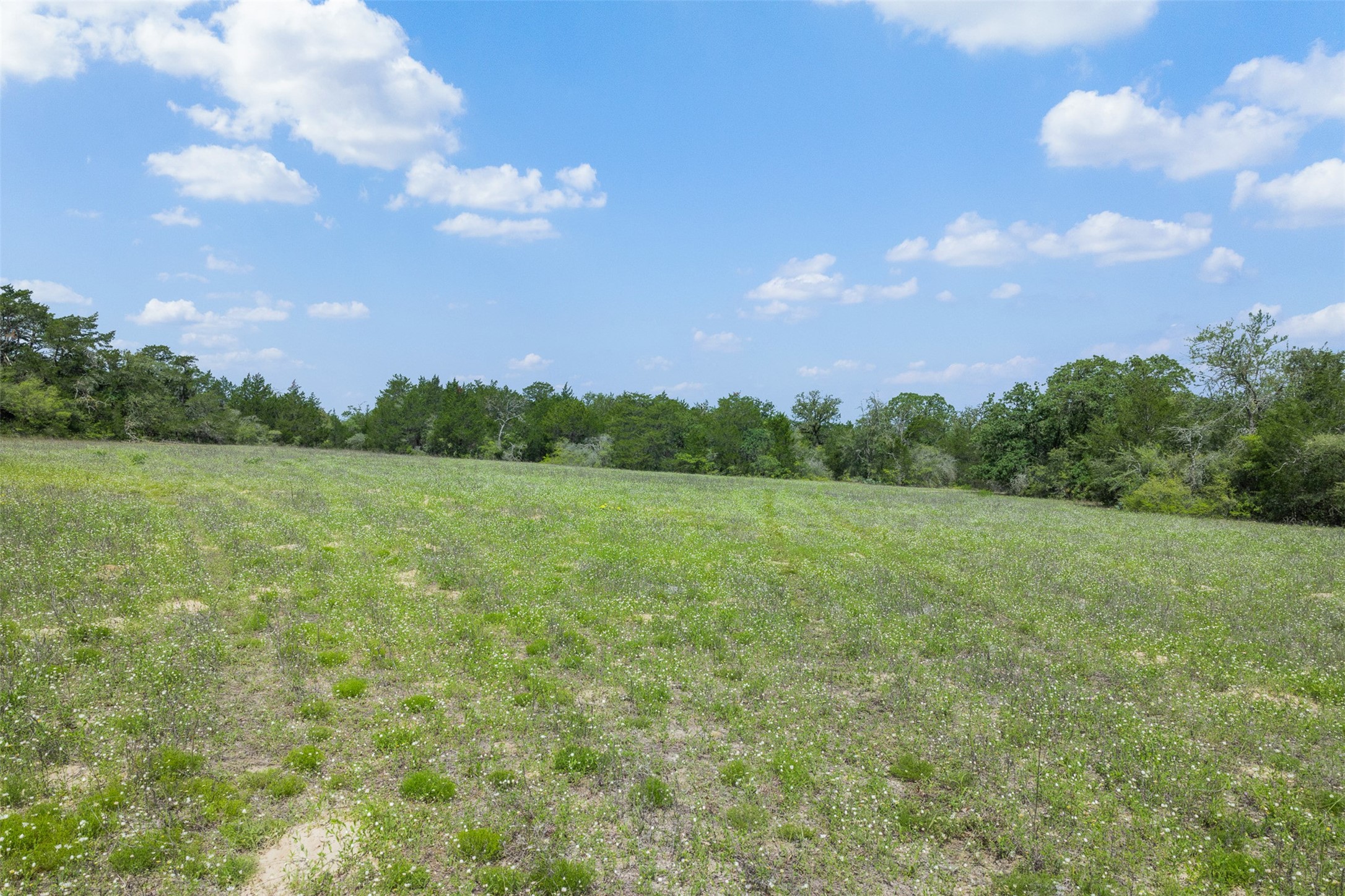 622 Red Rock Ranch Road Red Rock, TX 78662 - Photo 25 of 46 a view of a big yard with lots of green space