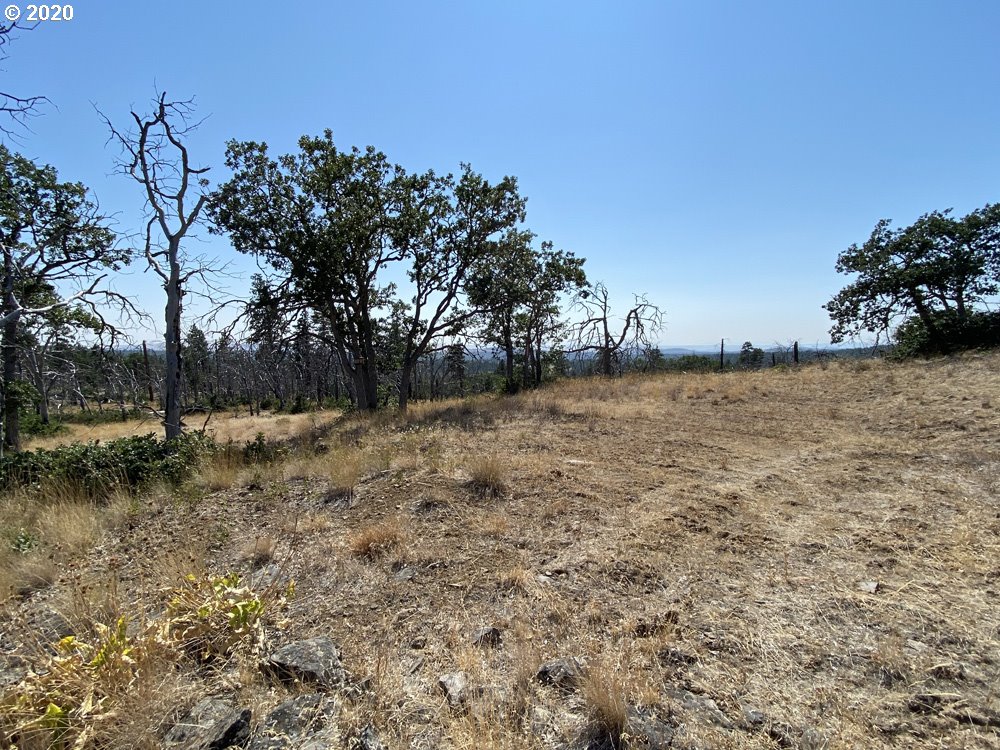 Shajewabe Road Goldendale, WA 98620 - Photo 14 of 18 Gallery Image 14