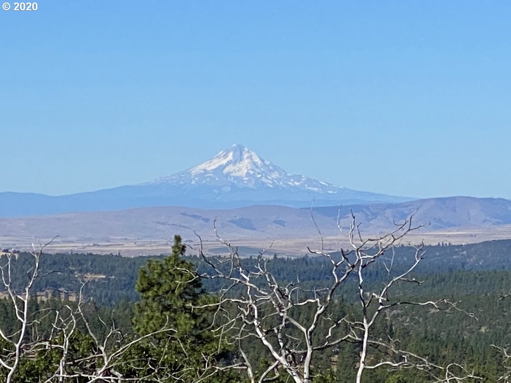 Shajewabe Road Goldendale, WA 98620 - Photo 5 of 18 Gallery Image 5
