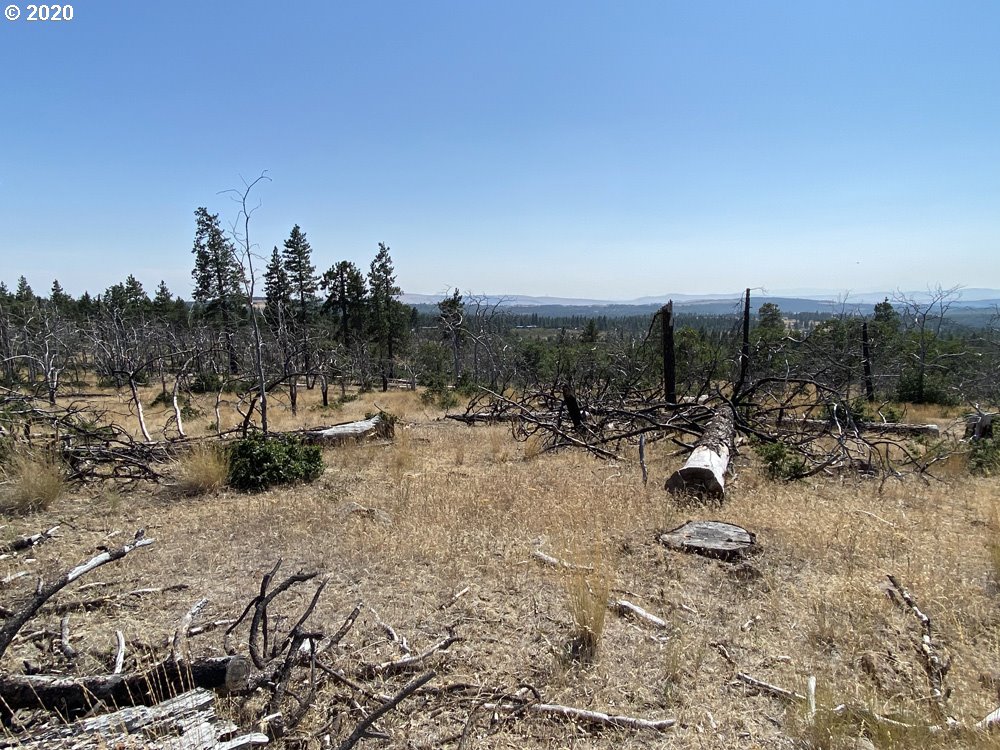Shajewabe Road Goldendale, WA 98620 - Photo 8 of 18 Gallery Image 8
