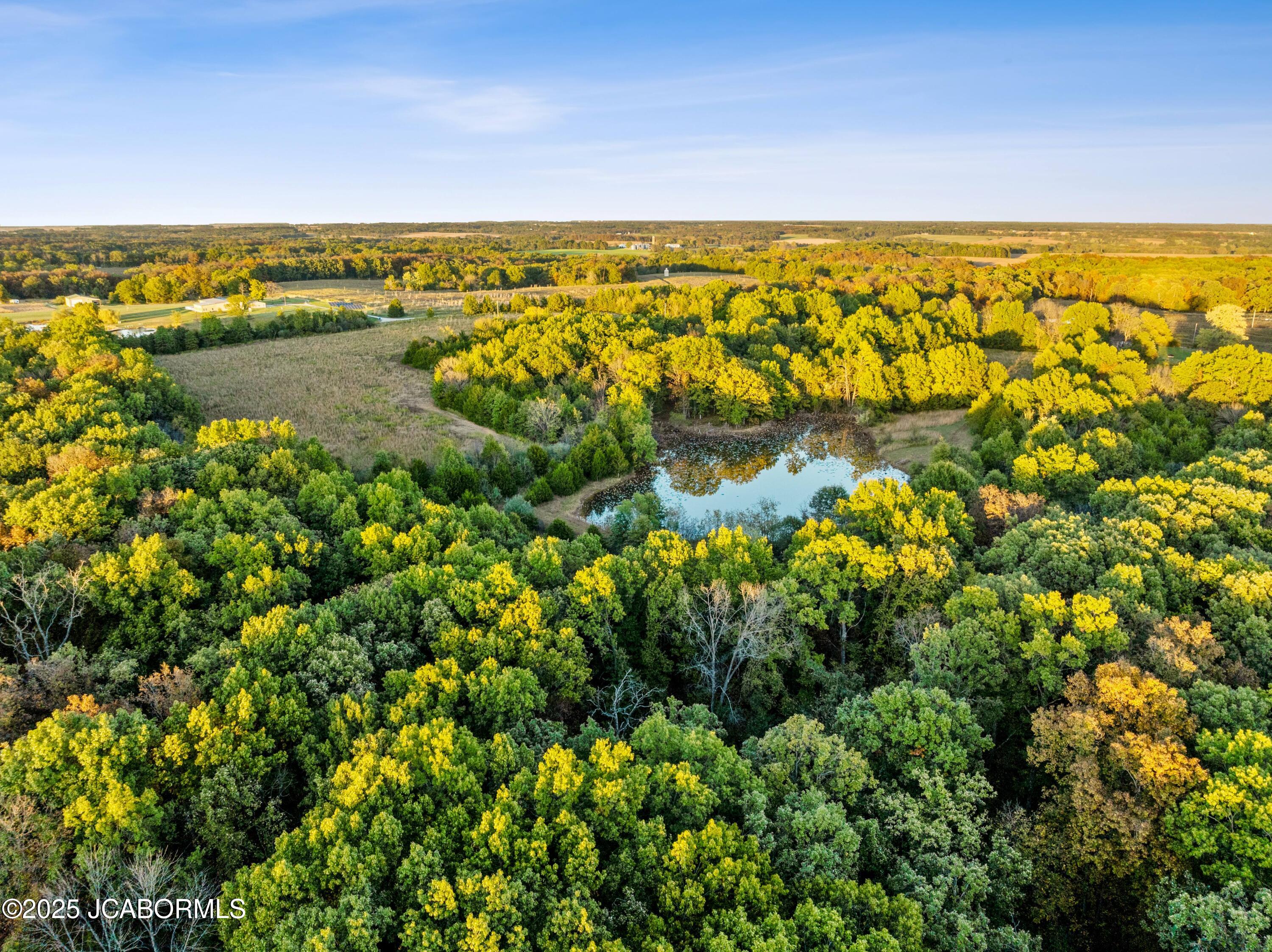 0 Callaway County Road Auxvasse, MO 65231 - Photo 4 of 16
