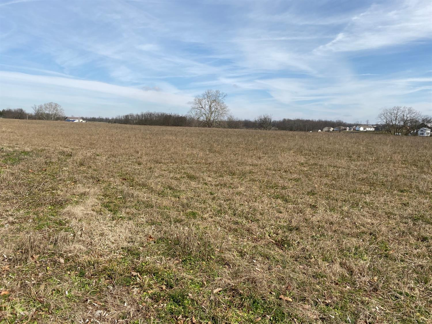 1090 Old Delaplain Road Georgetown, KY 40324 - Photo 6 of 11 Photo 6