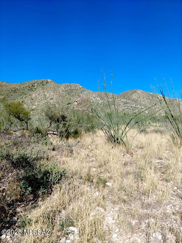 16231 East Hillton Ranch Road Vail, AZ 85641 - Photo 14 of 24