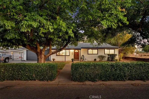 front view of a house with a tree