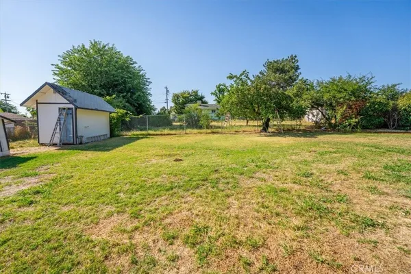 a view of a house with a yard and a large tree