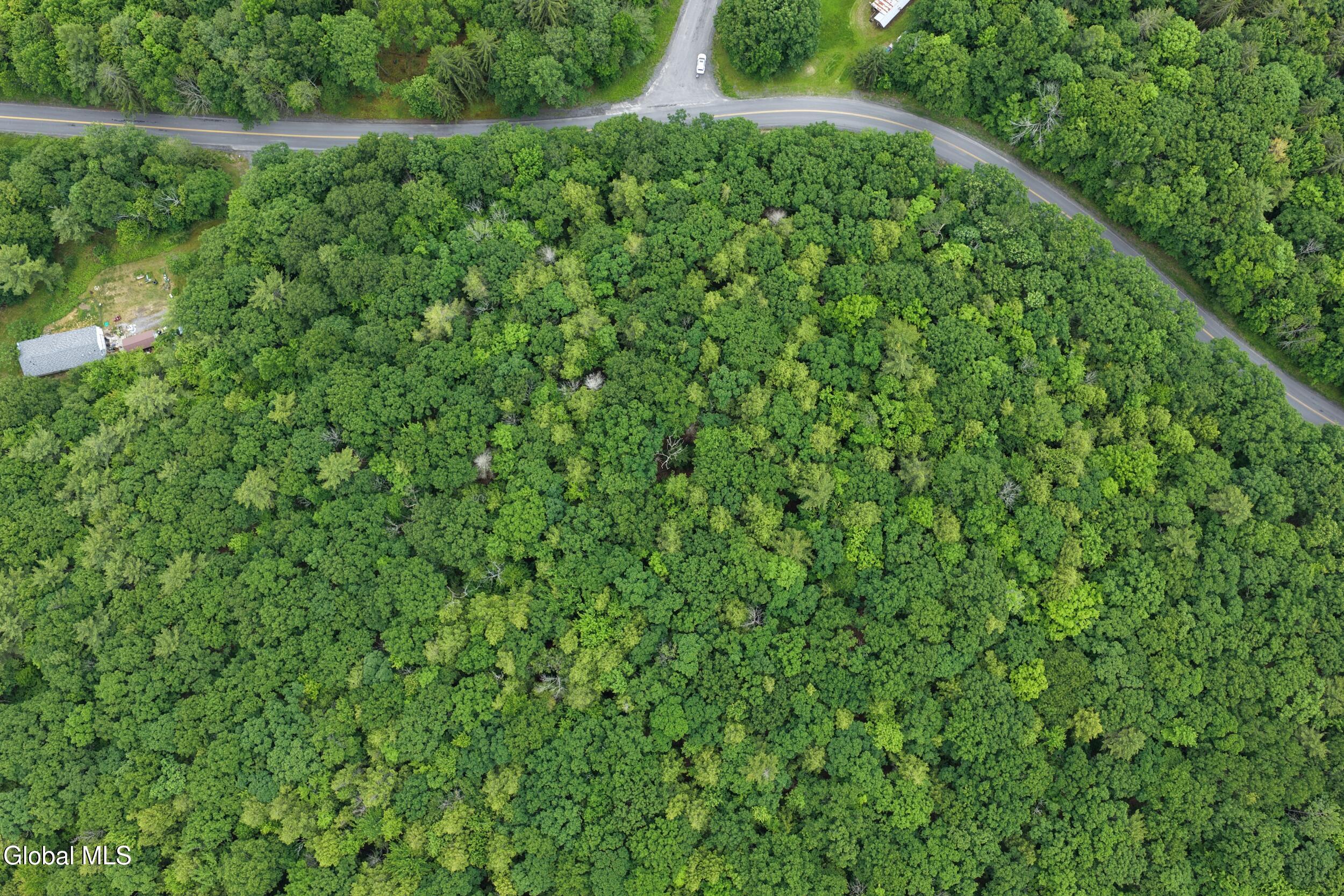 L1.00 Cotton Hill Road Middleburgh, NY 12122 - Photo 11 of 17 dji_20260616013835_0057_d
