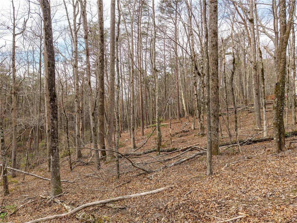 167 Henderson Mountain Road Jasper, GA 30143 - Photo 5 of 22 Gallery Image 5