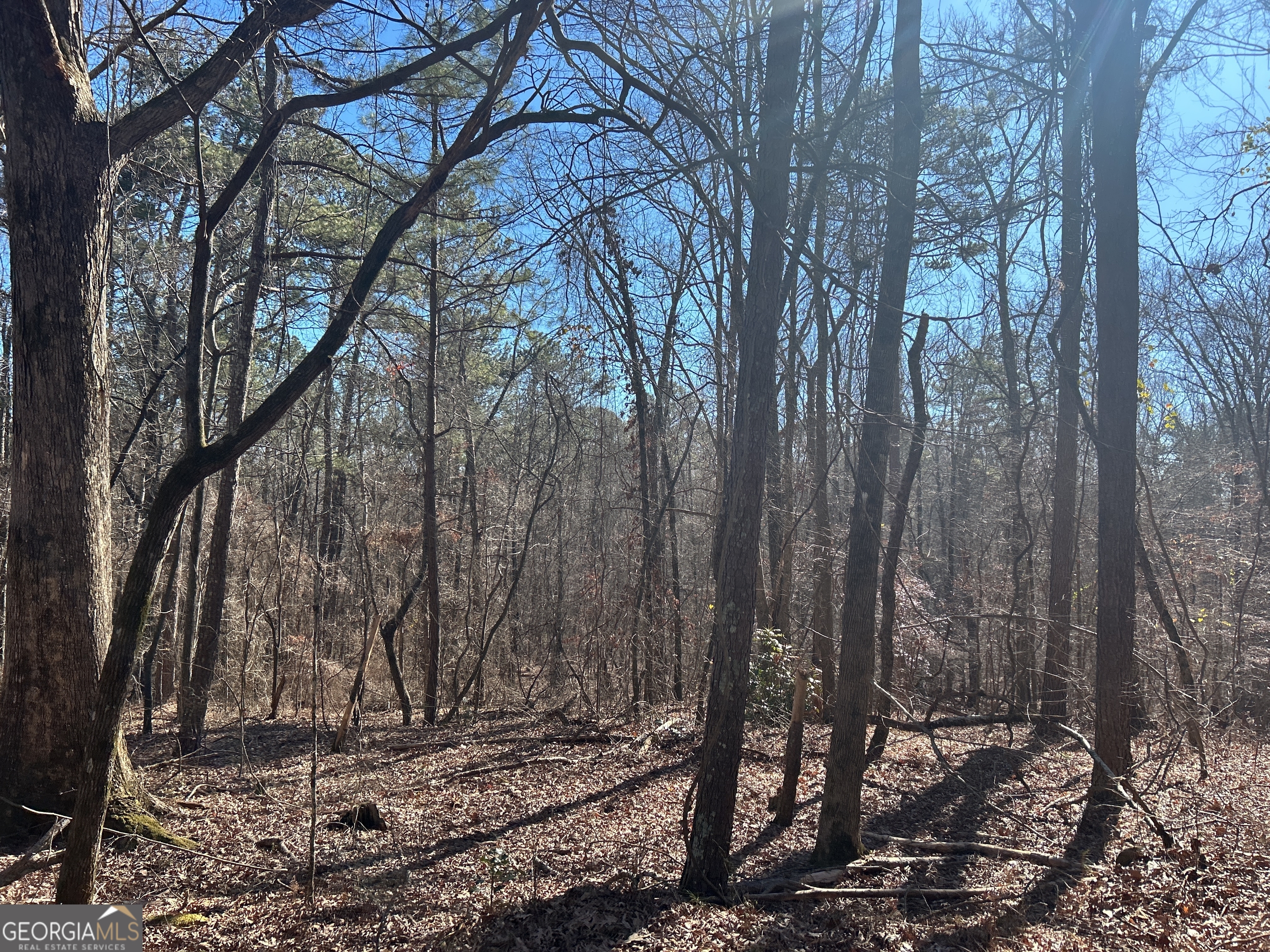 3060 Union Church Road Stockbridge, GA 30281 - Photo 14 of 17