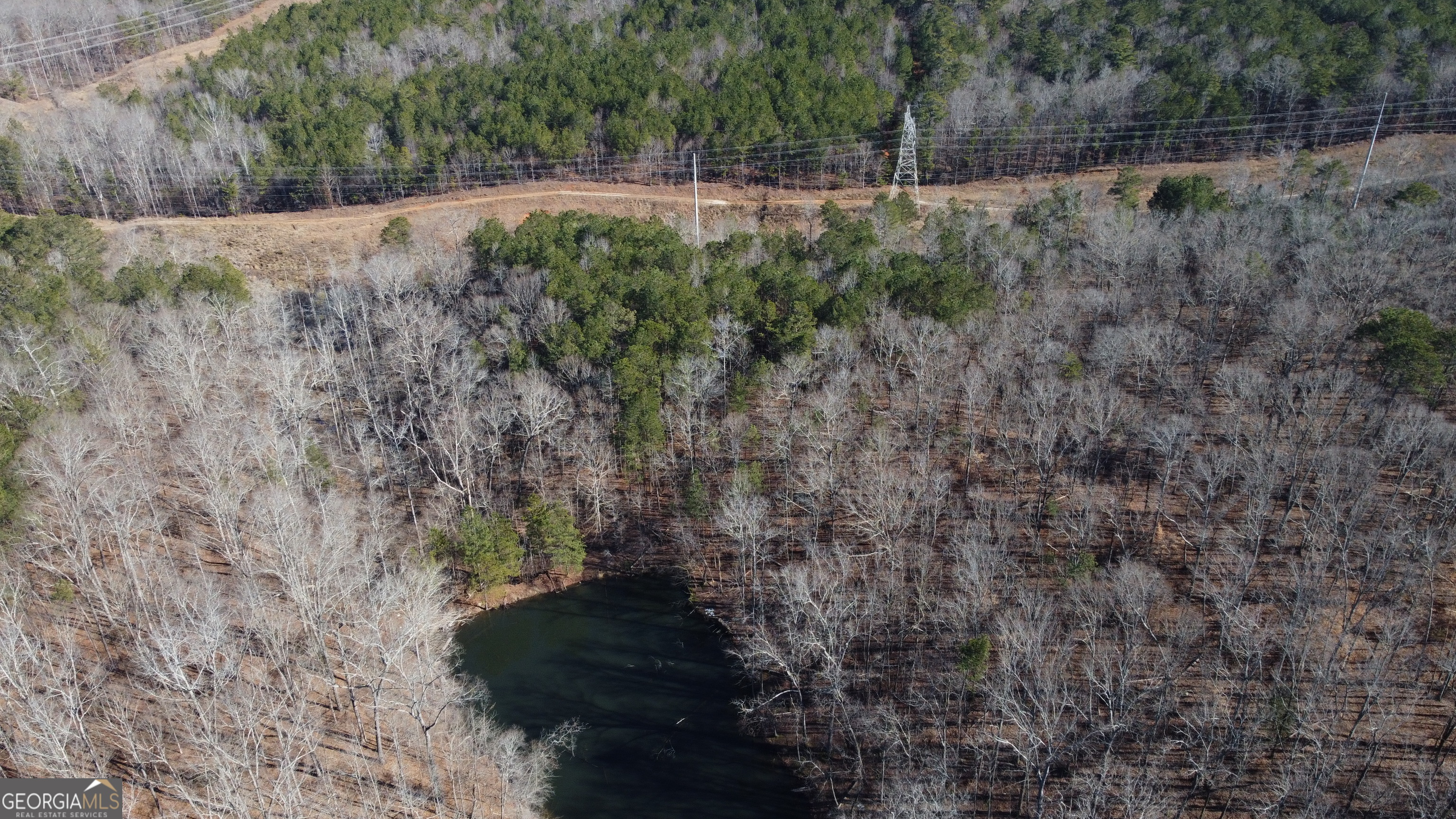 3060 Union Church Road Stockbridge, GA 30281 - Photo 15 of 17