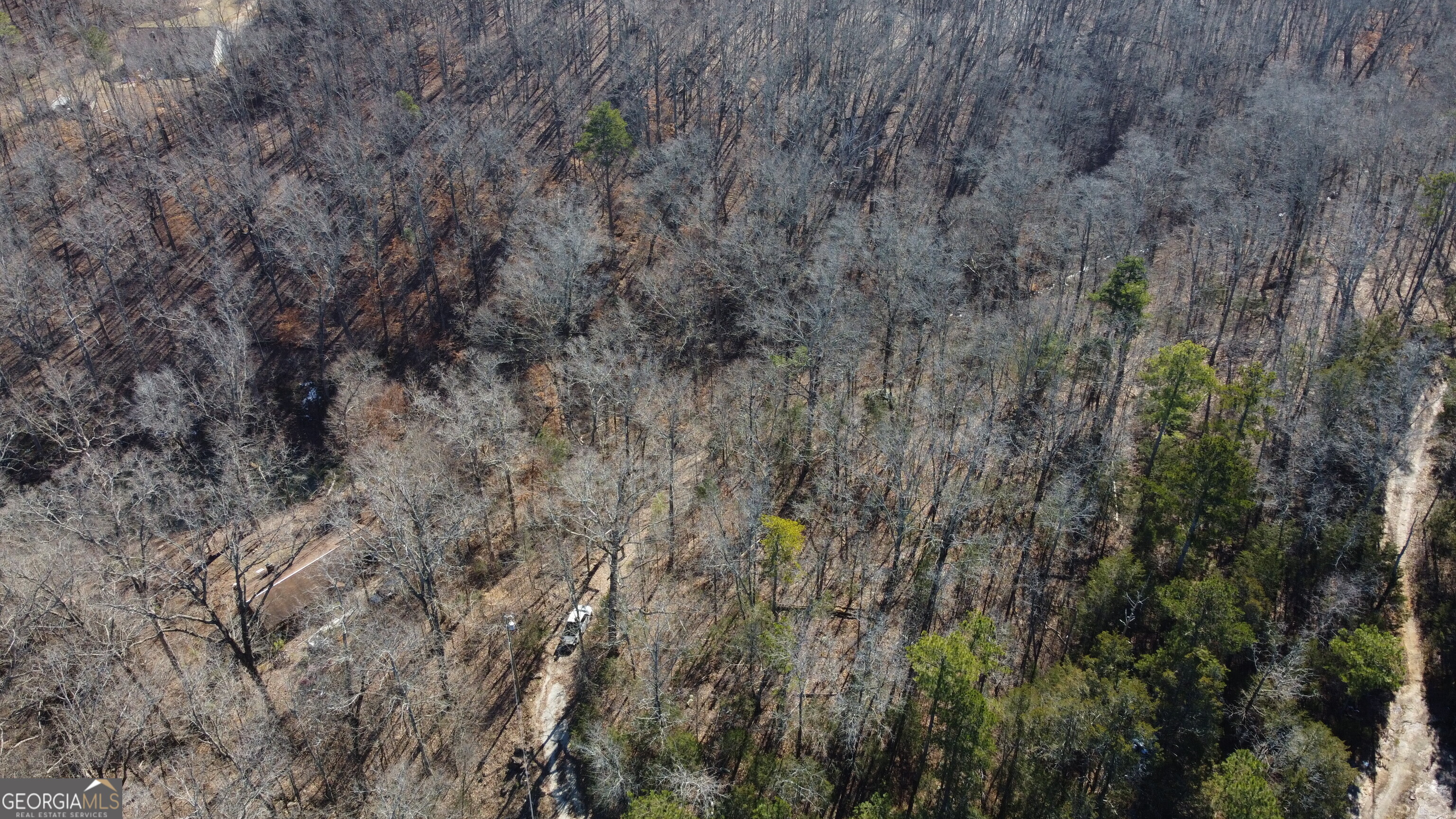 3060 Union Church Road Stockbridge, GA 30281 - Photo 2 of 17