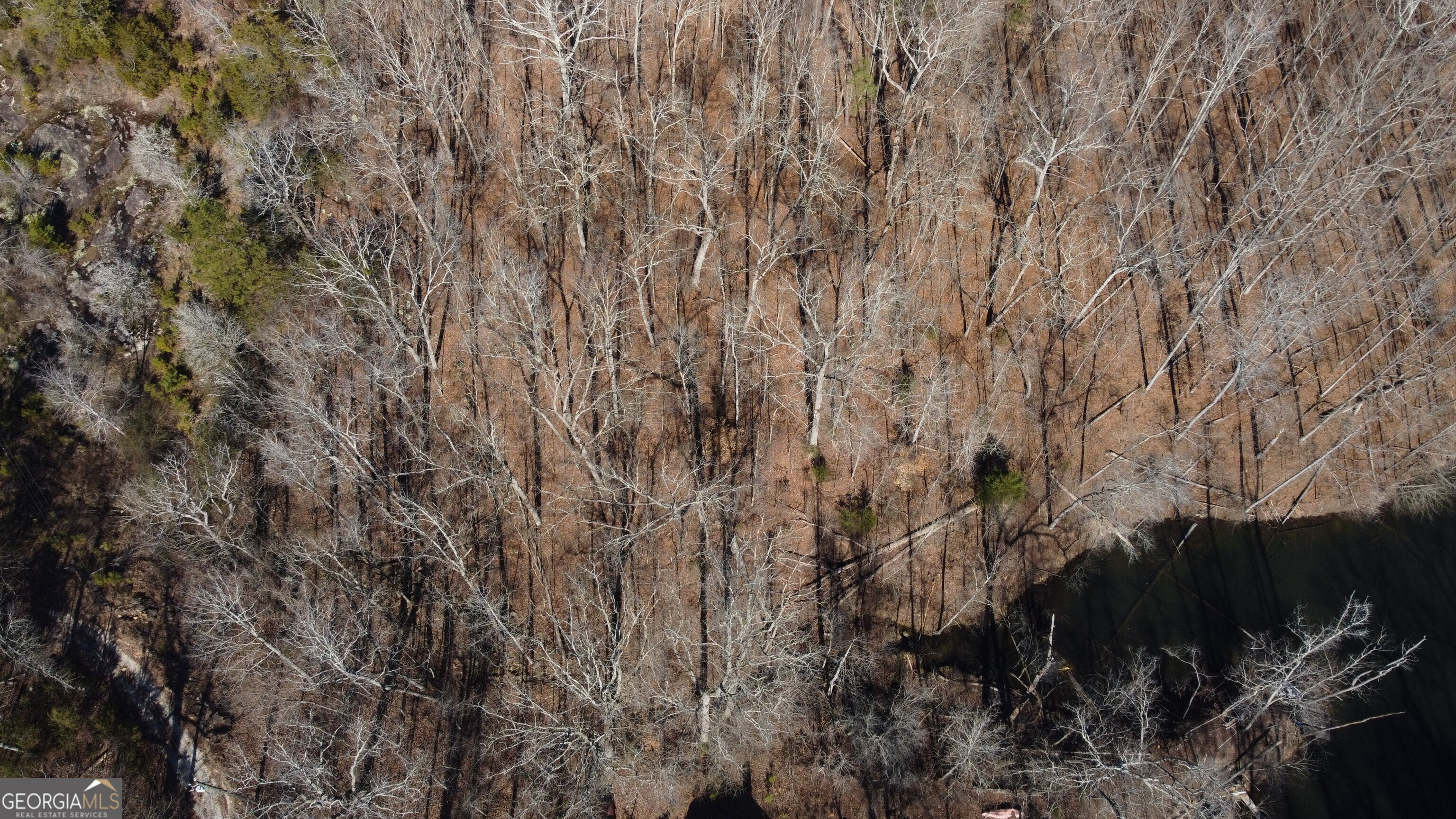 3060 Union Church Road Stockbridge, GA 30281 - Photo 5 of 17