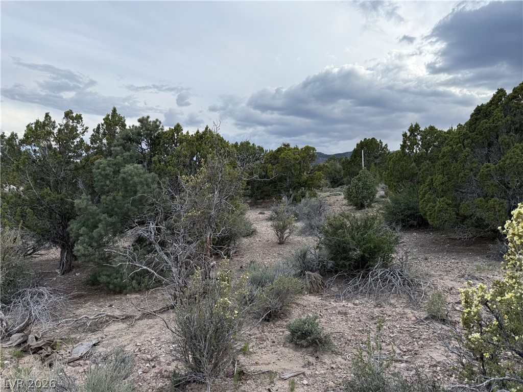 0 Timber Crest Way Pioche, NV 89043 - Photo 8 of 9