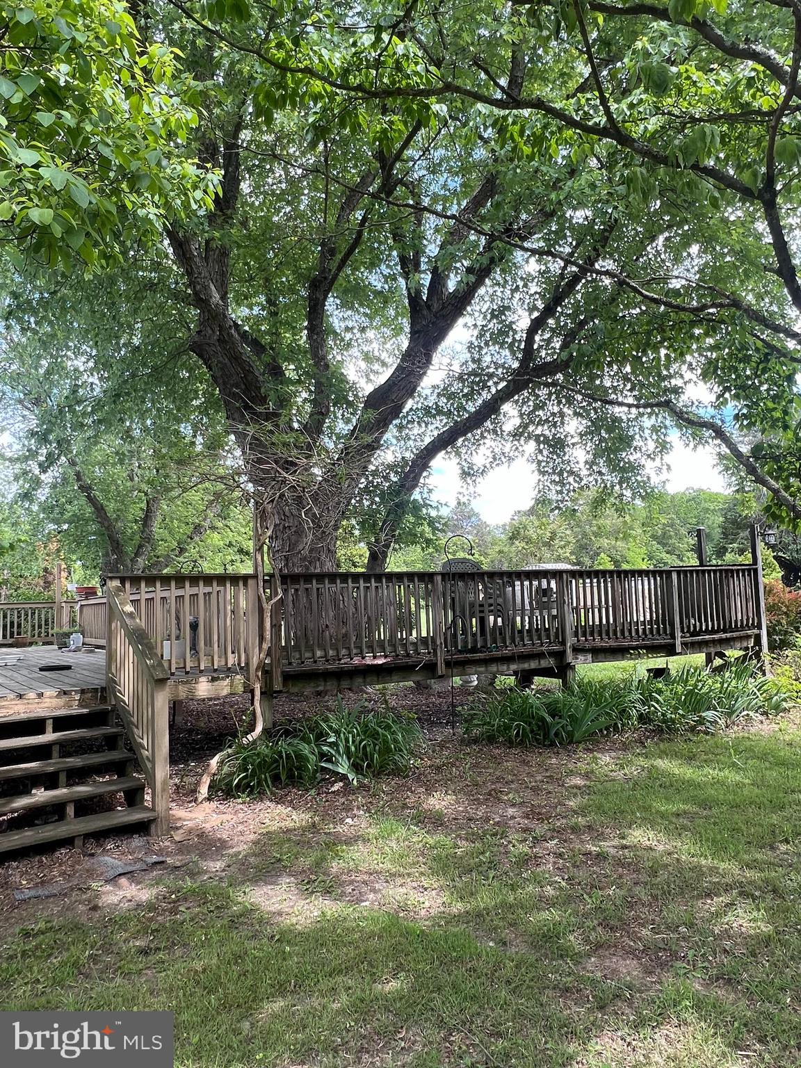 707 Upper Neck Road Pittsgrove, NJ 08318 - Photo 11 of 14 a view of a backyard with plants and large trees