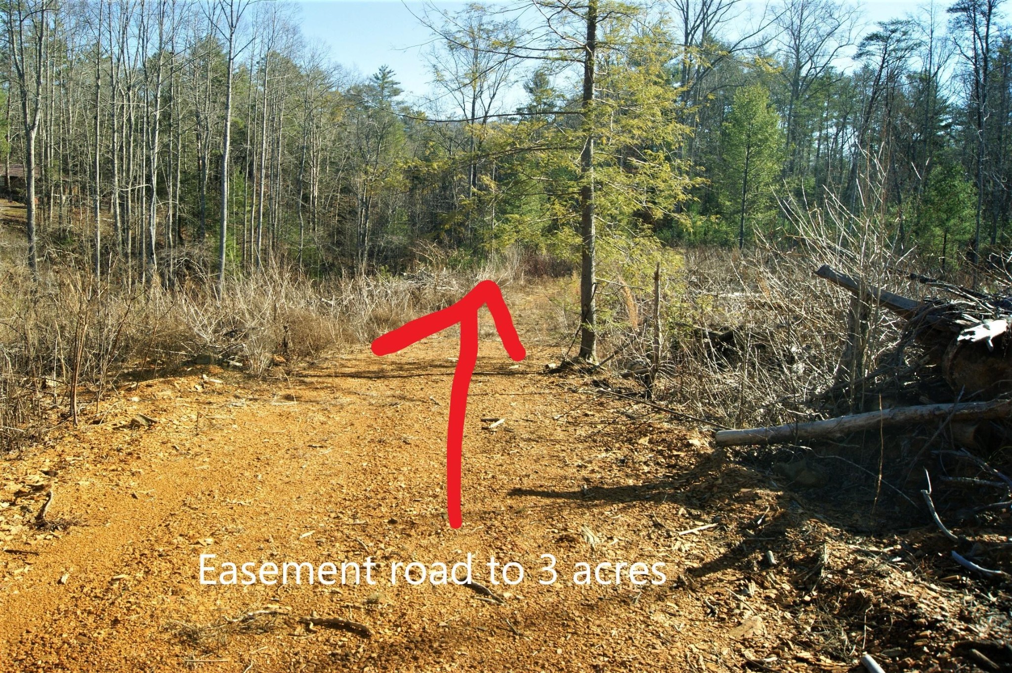 0 12 Acres Pond Ridge Road Tellico Plains, TN 37385 - Photo 15 of 24 Gallery Image 15