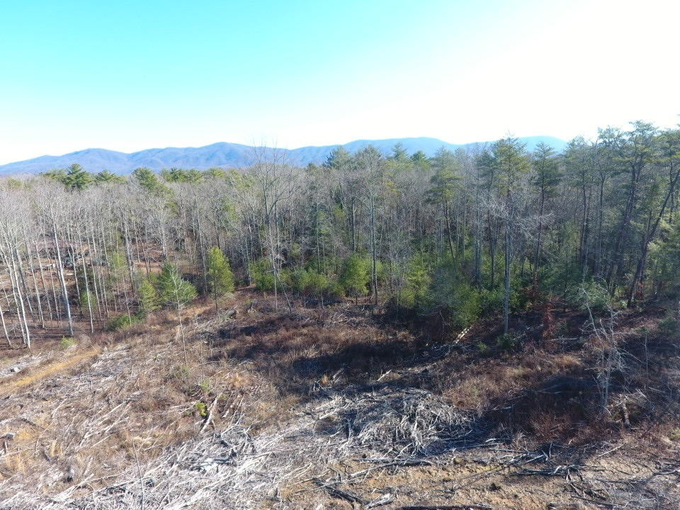 0 12 Acres Pond Ridge Road Tellico Plains, TN 37385 - Photo 17 of 24 Gallery Image 17