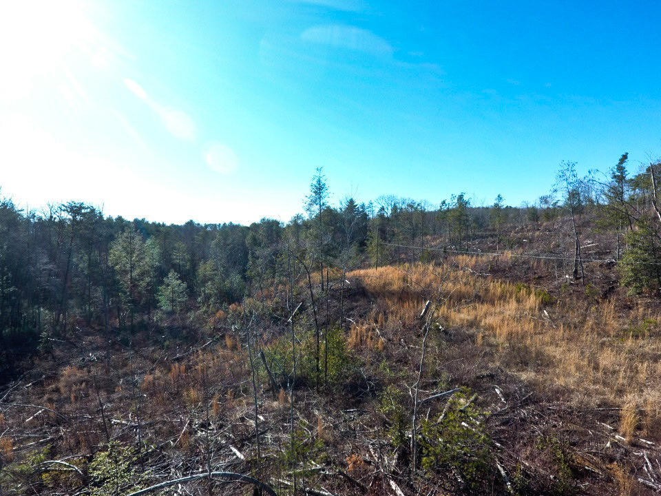 0 12 Acres Pond Ridge Road Tellico Plains, TN 37385 - Photo 18 of 24 Gallery Image 18