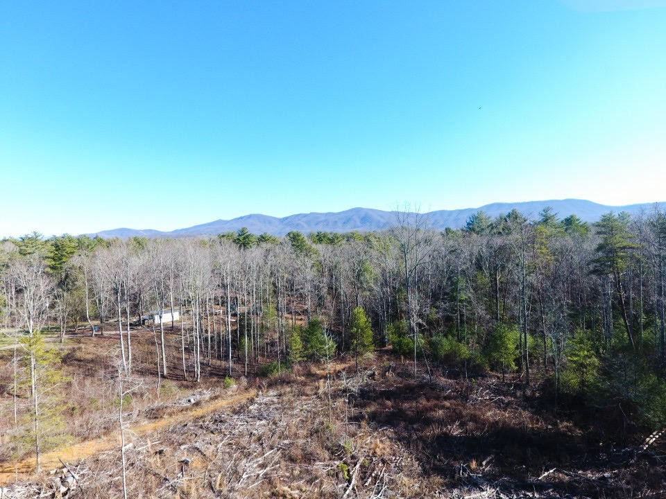 0 12 Acres Pond Ridge Road Tellico Plains, TN 37385 - Photo 19 of 24 Gallery Image 19