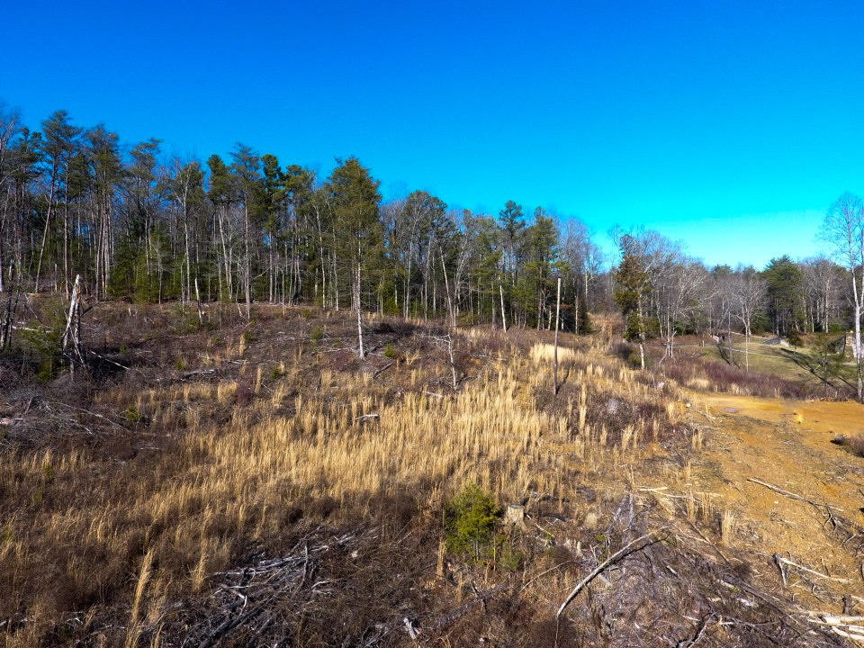 0 12 Acres Pond Ridge Road Tellico Plains, TN 37385 - Photo 20 of 24 Gallery Image 20