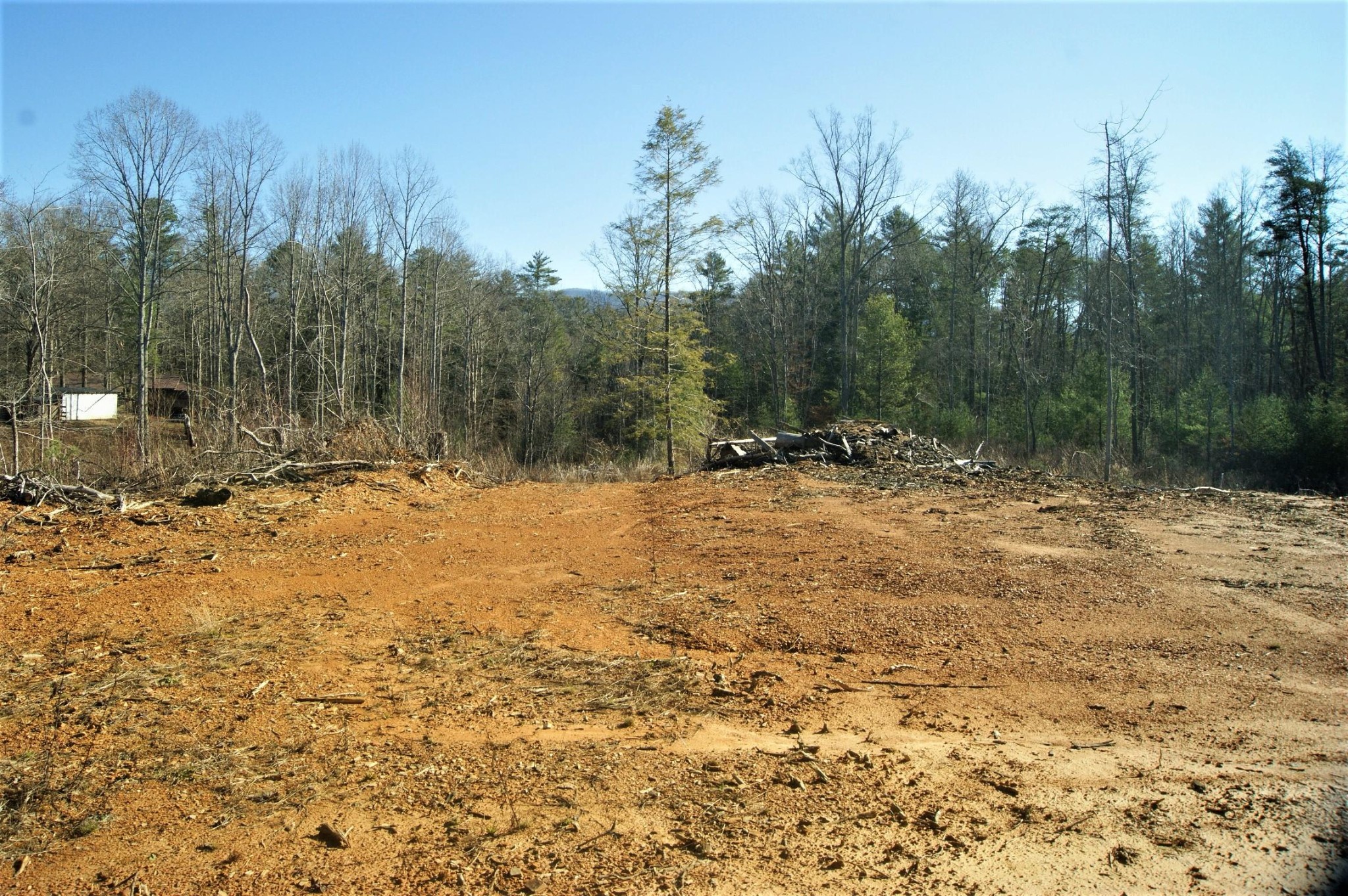 0 12 Acres Pond Ridge Road Tellico Plains, TN 37385 - Photo 2 of 24 Gallery Image 2