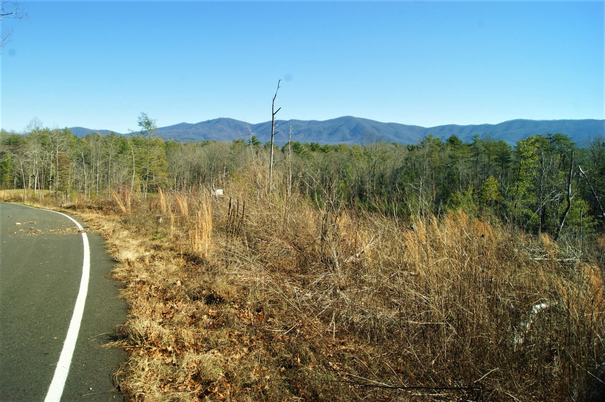 0 12 Acres Pond Ridge Road Tellico Plains, TN 37385 - Photo 8 of 24 Gallery Image 8